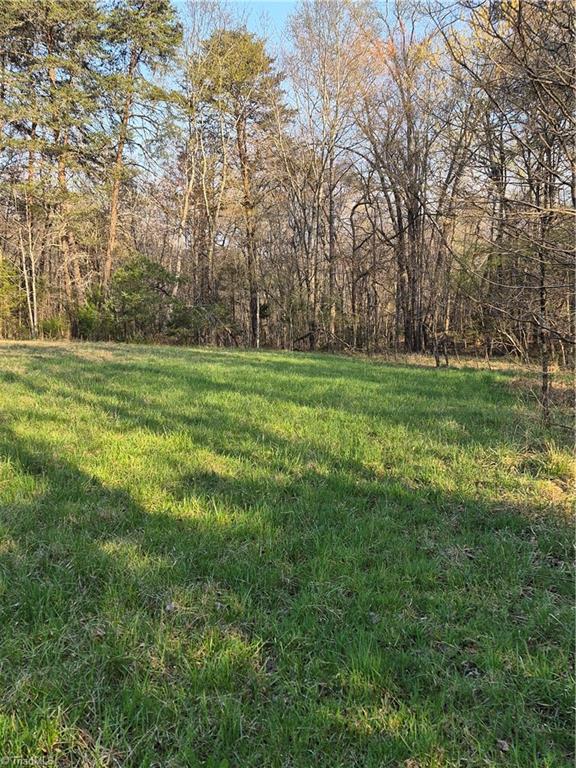 1456 McDaniel Road Pilot Mountain, NC 27041 - Photo 9 of 24