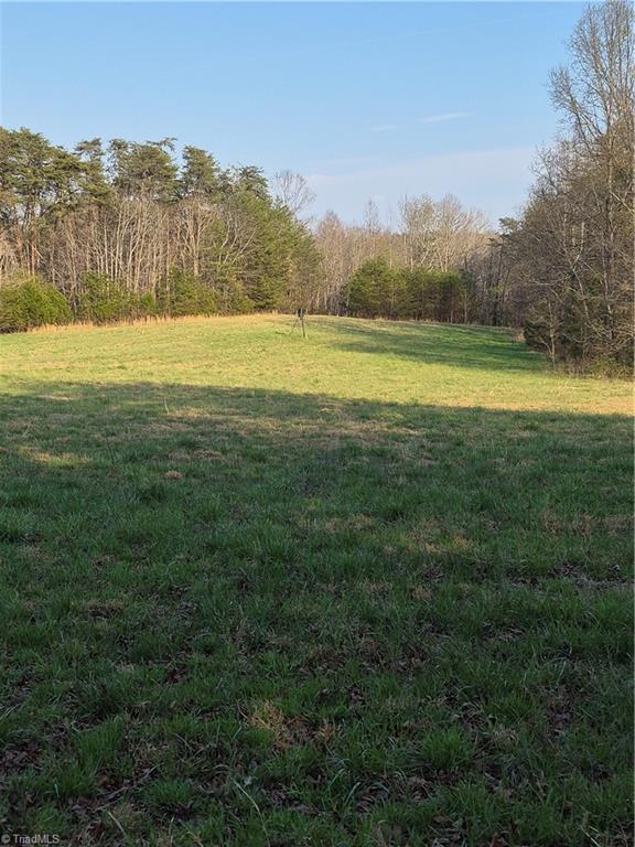 1456 McDaniel Road Pilot Mountain, NC 27041 - Photo 10 of 24 Imagine your home sitting in this field