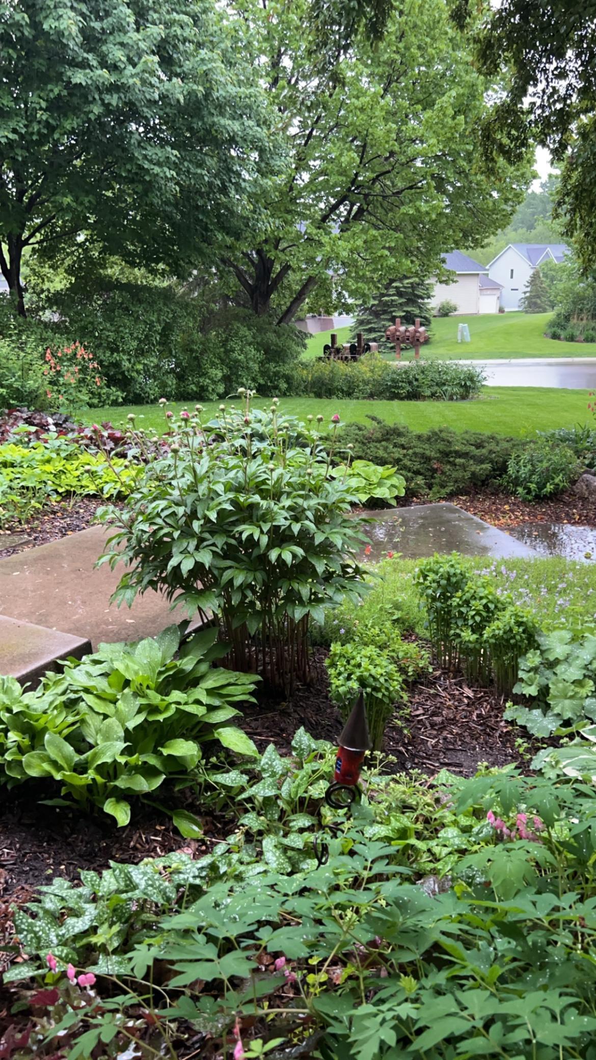 18904 Yarborough Trace Maple Grove, MN 55311 - Photo 43 of 63