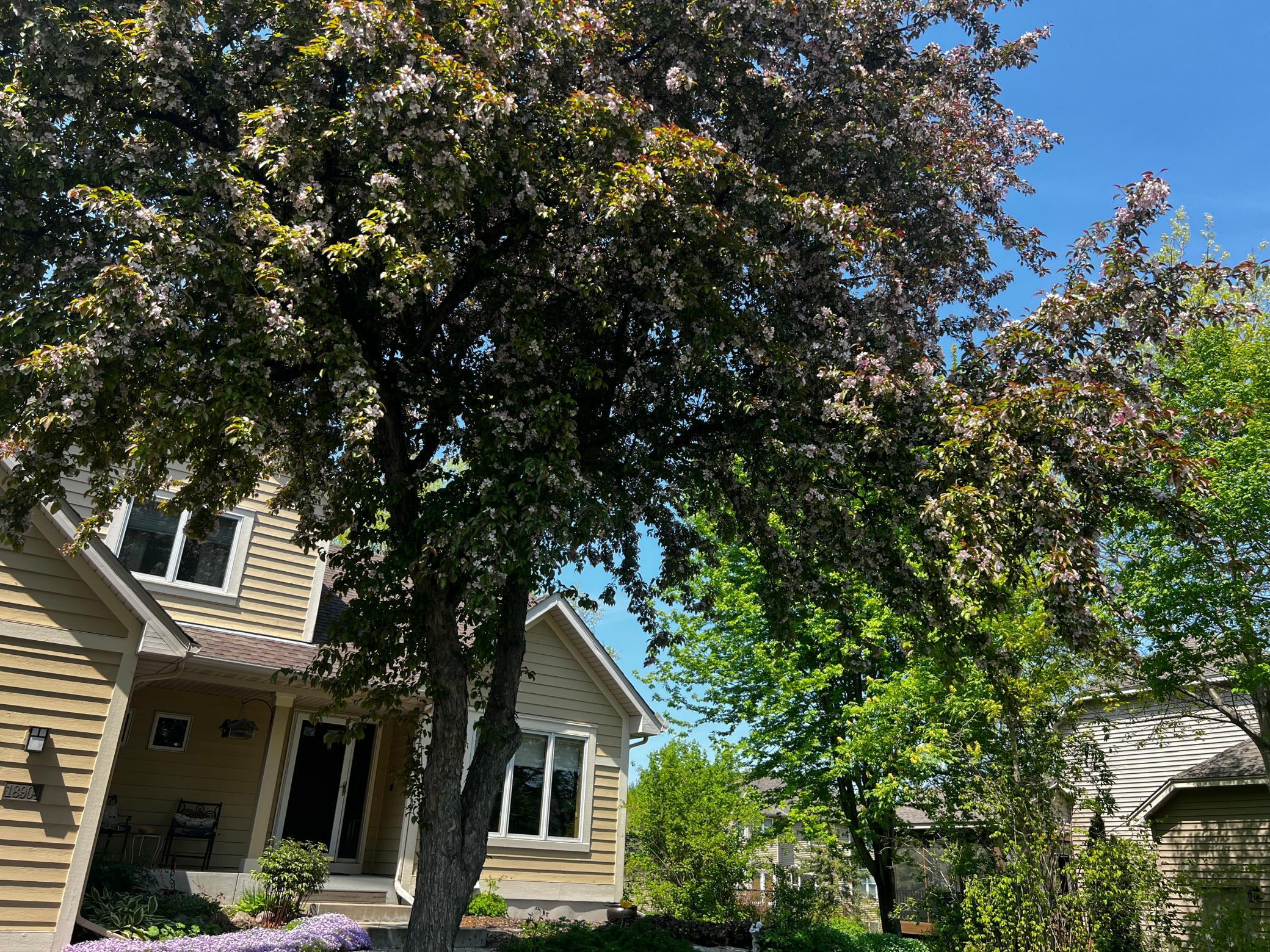 18904 Yarborough Trace Maple Grove, MN 55311 - Photo 45 of 63