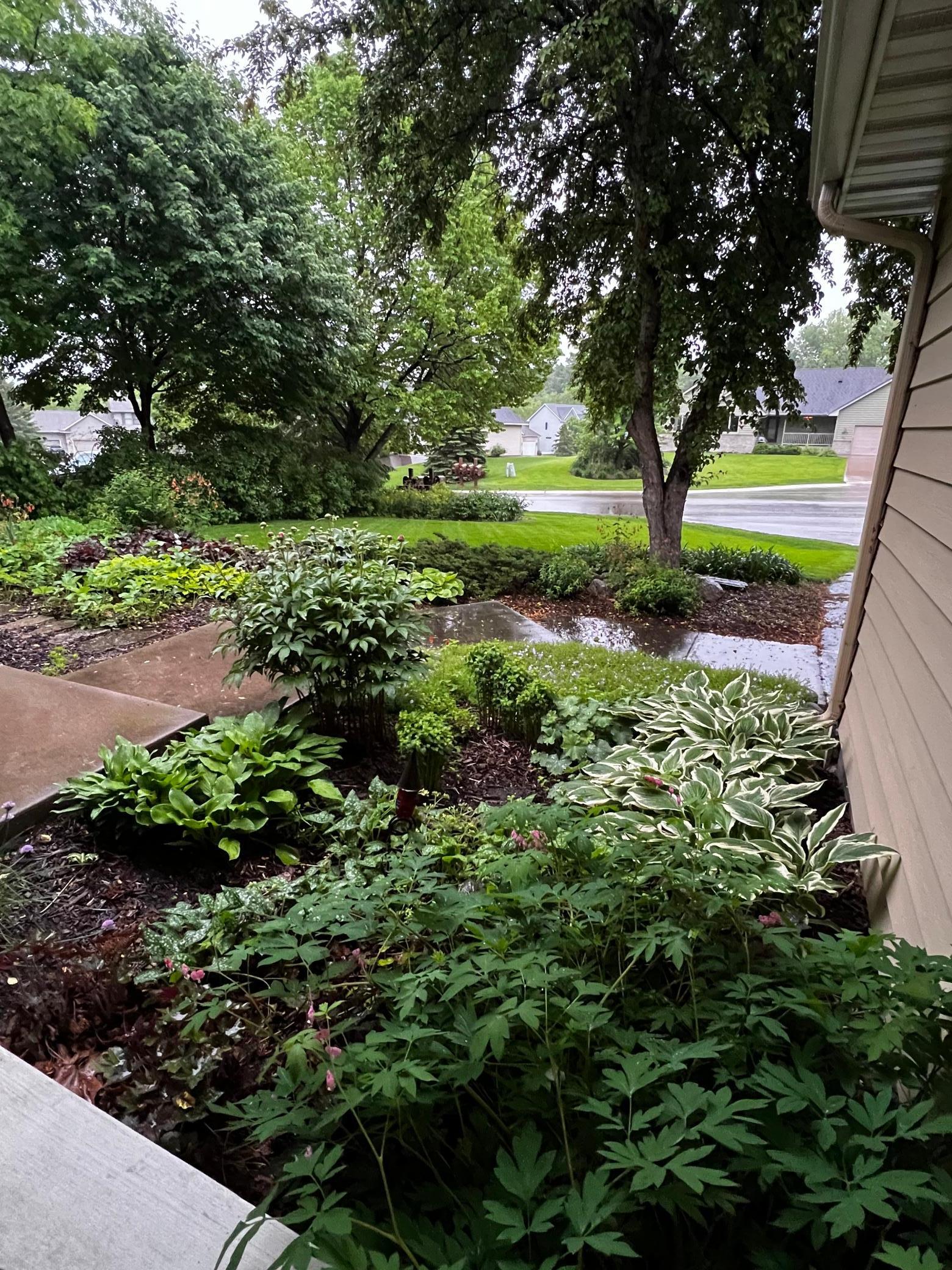 18904 Yarborough Trace Maple Grove, MN 55311 - Photo 46 of 63