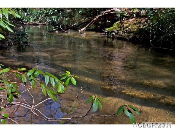 15 Wandering Ridge Cashiers, NC 28717 - Photo 1 of 1 Gallery Image 1