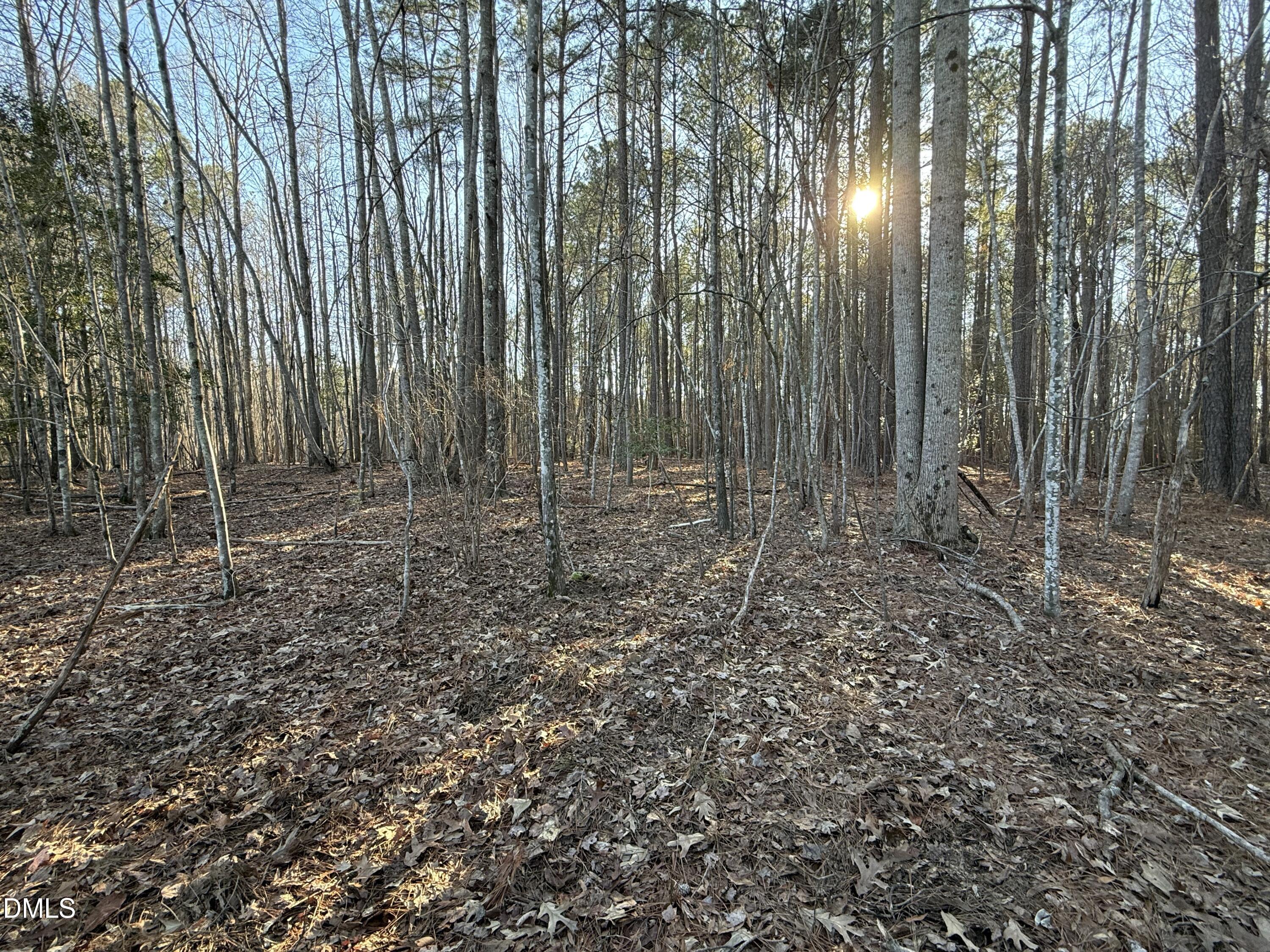 1 Massey Road Zebulon, NC 27597 - Photo 3 of 9 a view of outdoor space with lots of yellow lighting
