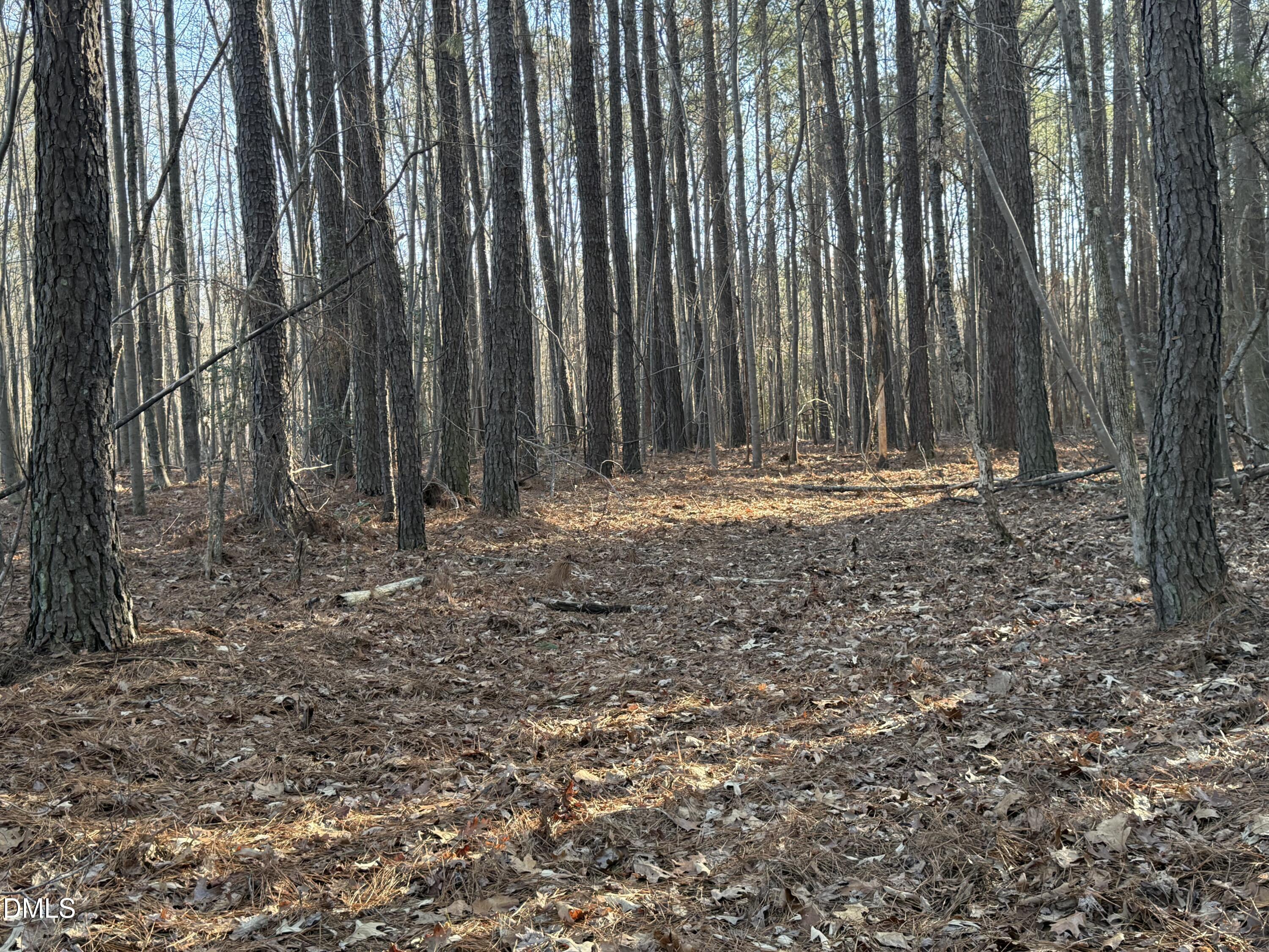 1 Massey Road Zebulon, NC 27597 - Photo 5 of 9 a view of outdoor space with wooden fence