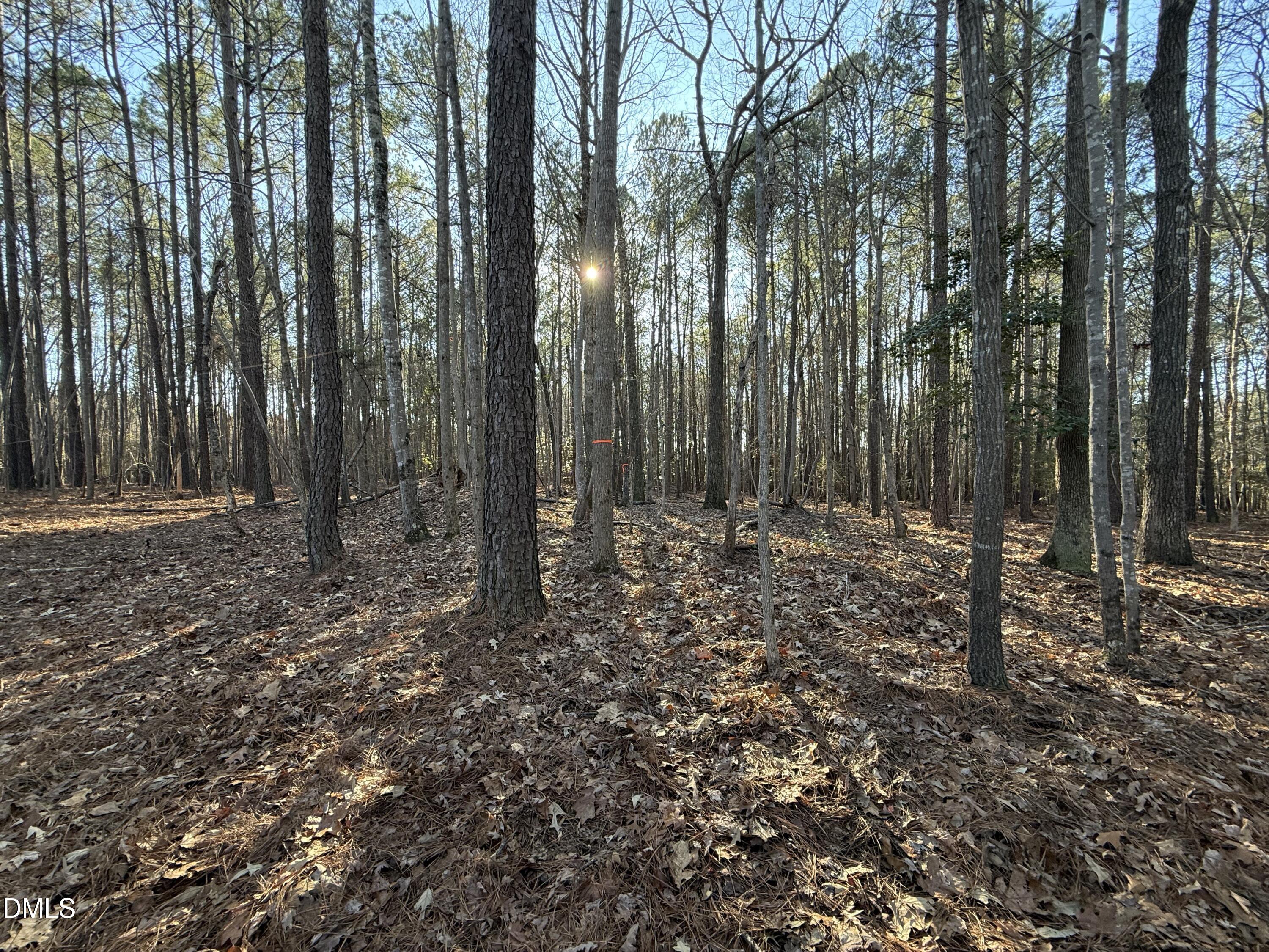 1 Massey Road Zebulon, NC 27597 - Photo 6 of 9 a view of outdoor space with lots of trees