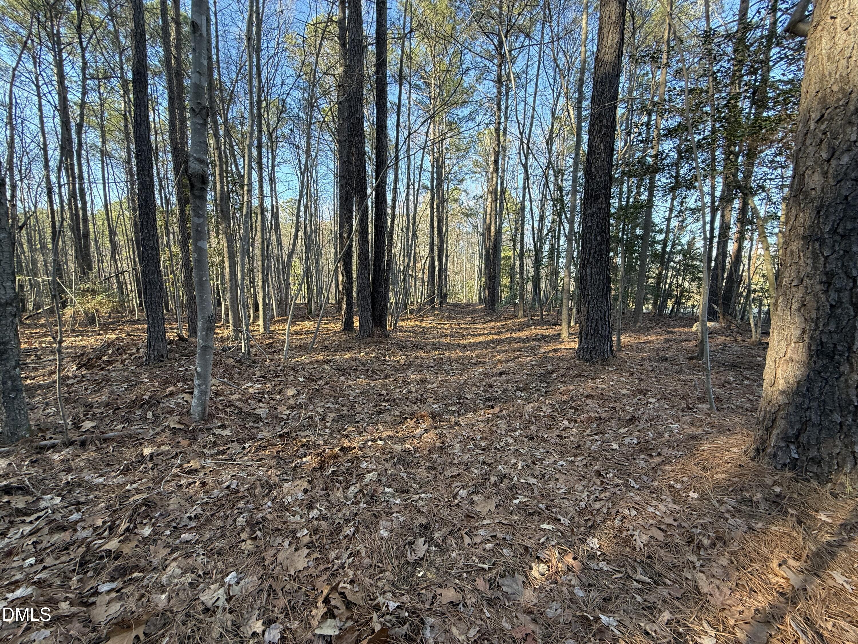 1 Massey Road Zebulon, NC 27597 - Photo 7 of 9 a view of outdoor space with deck and tree