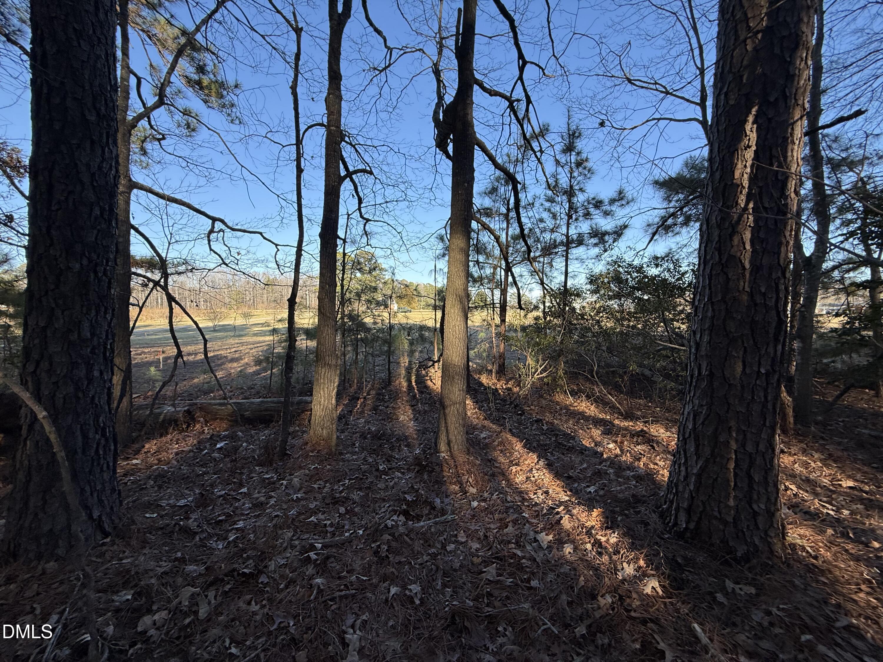 1 Massey Road Zebulon, NC 27597 - Photo 8 of 9 a view of a yard with large tree