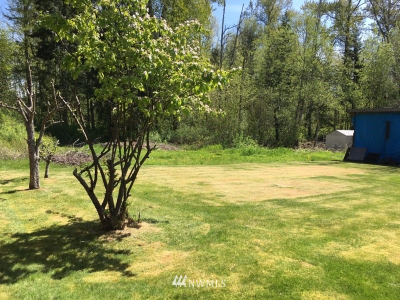 7864 Carson Road Blaine, WA 98230 - Photo 9 of 9