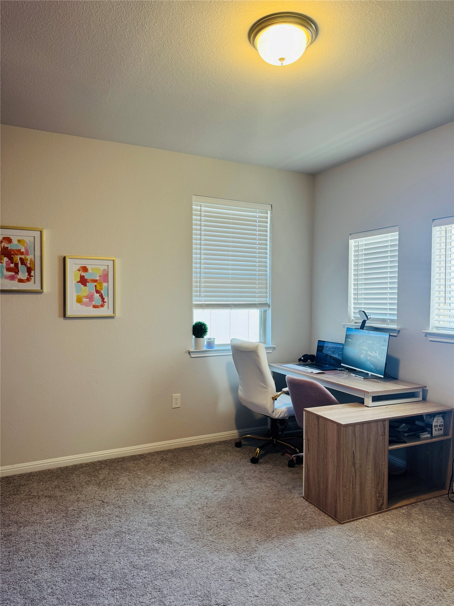 349 Rend Drive Leander, TX 78641 - Photo 11 of 21 Office space with light carpet and a textured ceiling