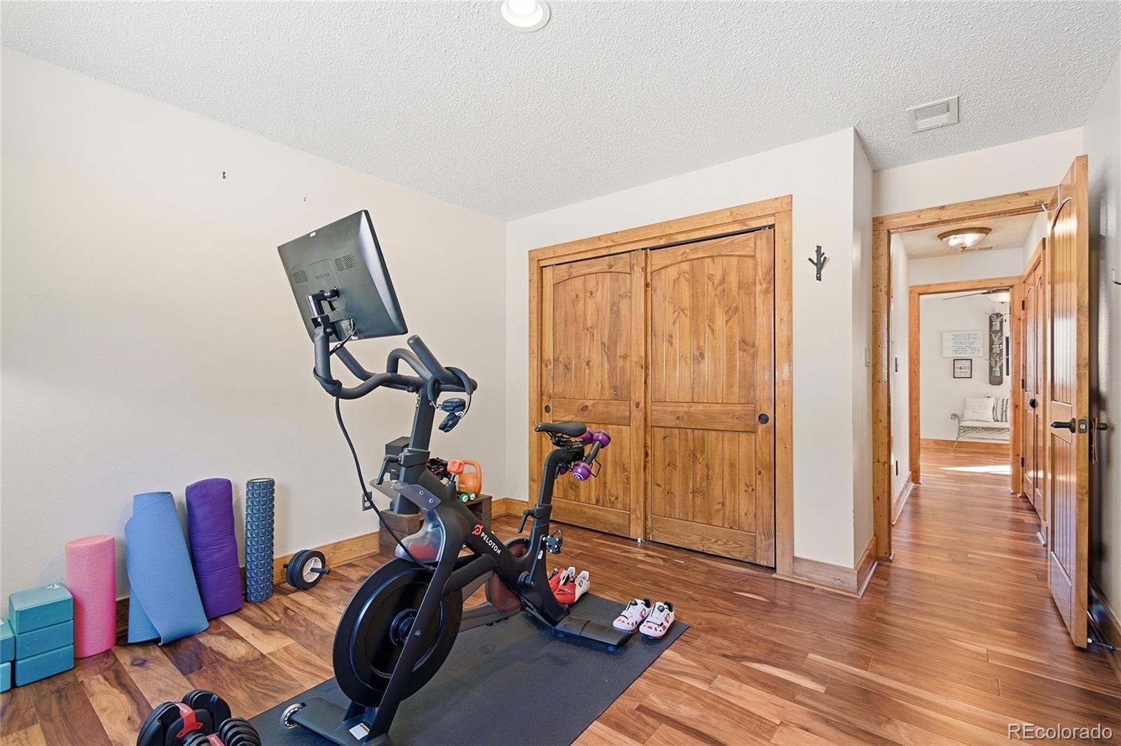 8790 South Warhawk Road Conifer, CO 80433 - Photo 19 of 41 a view of a room with gym equipment