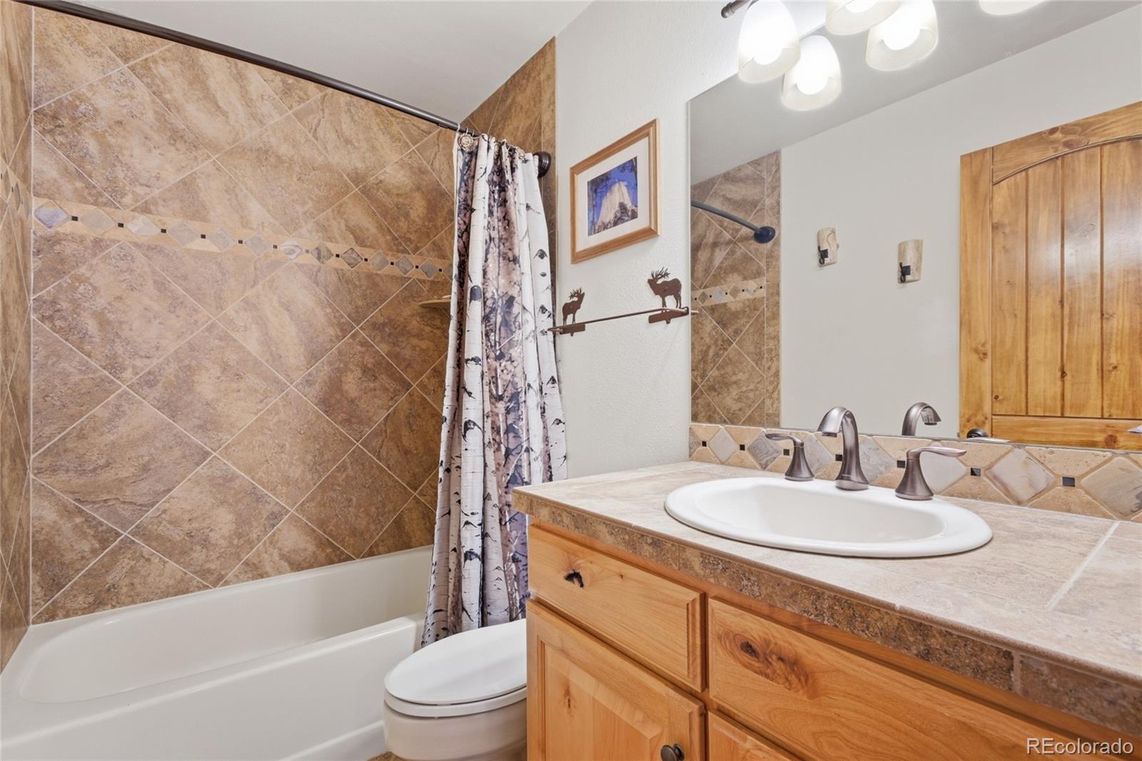 8790 South Warhawk Road Conifer, CO 80433 - Photo 21 of 41 a bathroom with a sink a toilet and a bathtub
