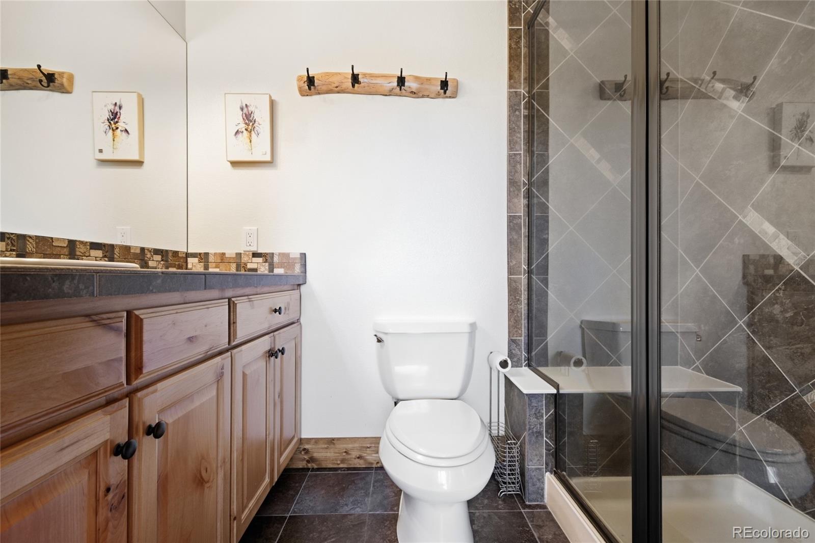 8790 South Warhawk Road Conifer, CO 80433 - Photo 28 of 41 a bathroom with a toilet sink and shower