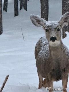 8790 South Warhawk Road Conifer, CO 80433 - Photo 40 of 41 a view of water heater