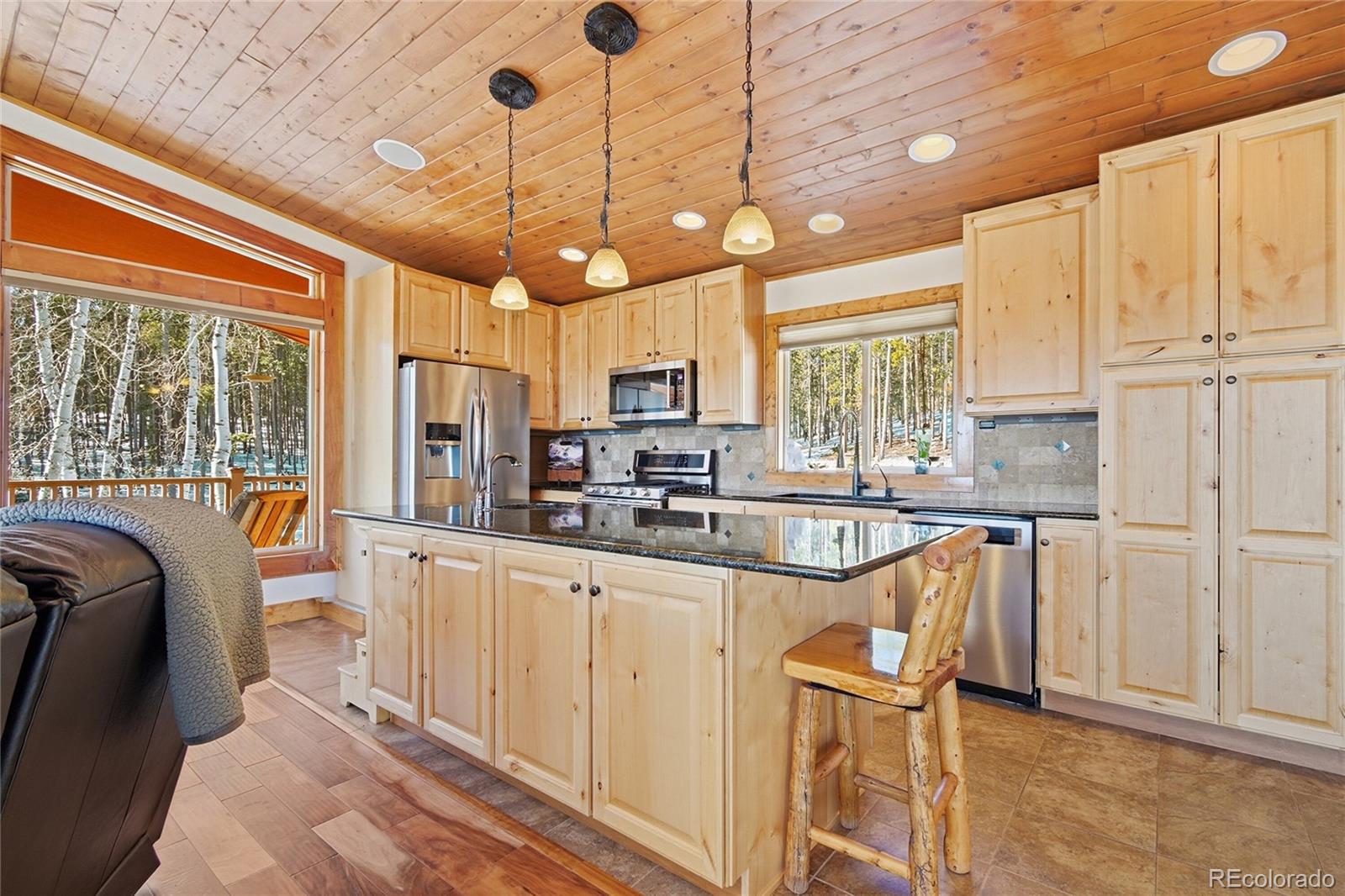 8790 South Warhawk Road Conifer, CO 80433 - Photo 6 of 41 a kitchen with stainless steel appliances granite countertop a sink a stove and refrigerator