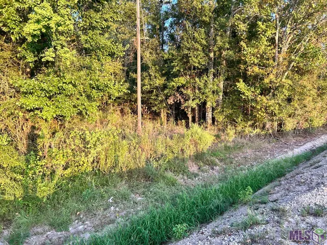 $65,000 | 1 C La Highway, Prairieville, LA 70769