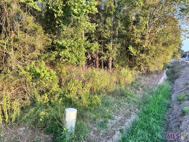 $65,000 | 1 C La Highway, Prairieville, LA 70769