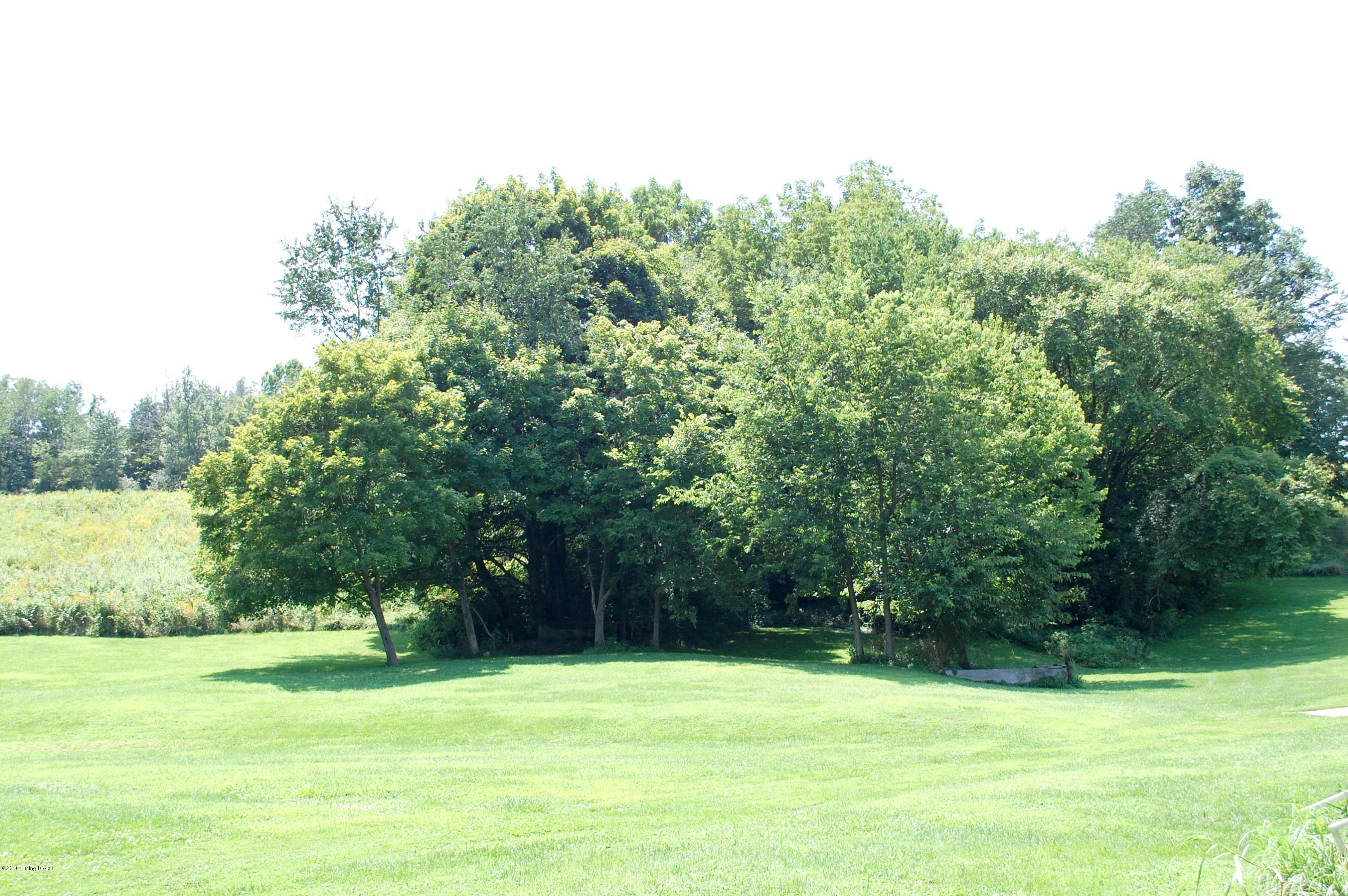 1321 Simpson Creek Road Bloomfield, KY 40008 - Photo 28 of 29 land2