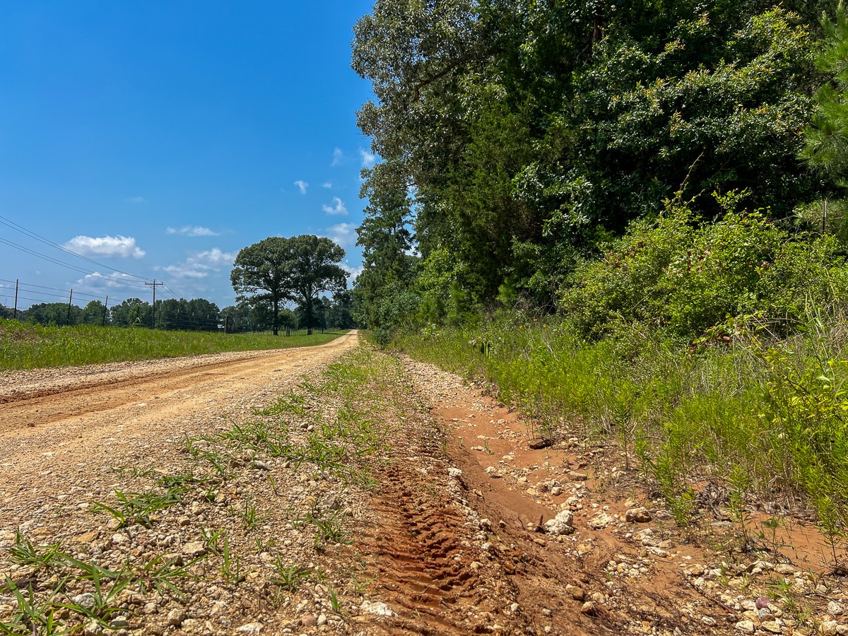3 Fodice 2 Road Lovelady, TX 75851 - Photo 11 of 12