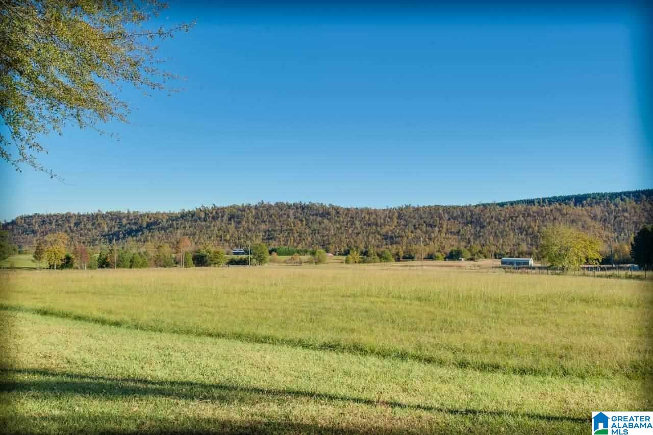 6145 Shoal Creek Road Ashville, AL 35953 - Photo 2 of 30