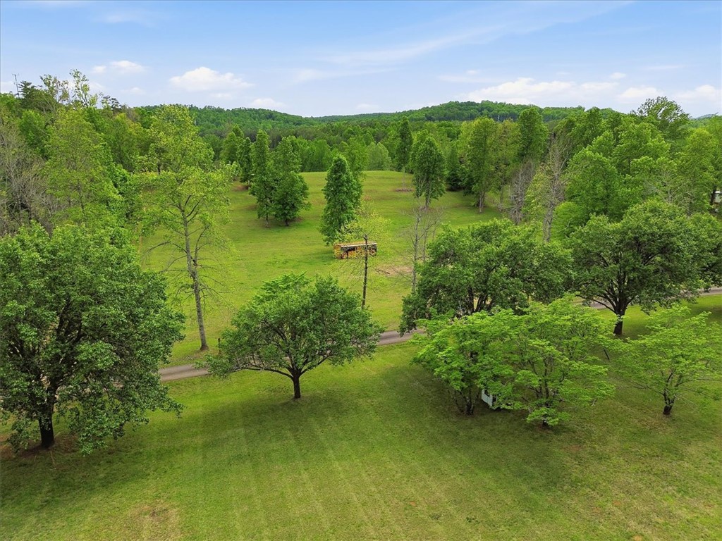 144 Porter Road Pickens, SC 29671 - Photo 48 of 50
