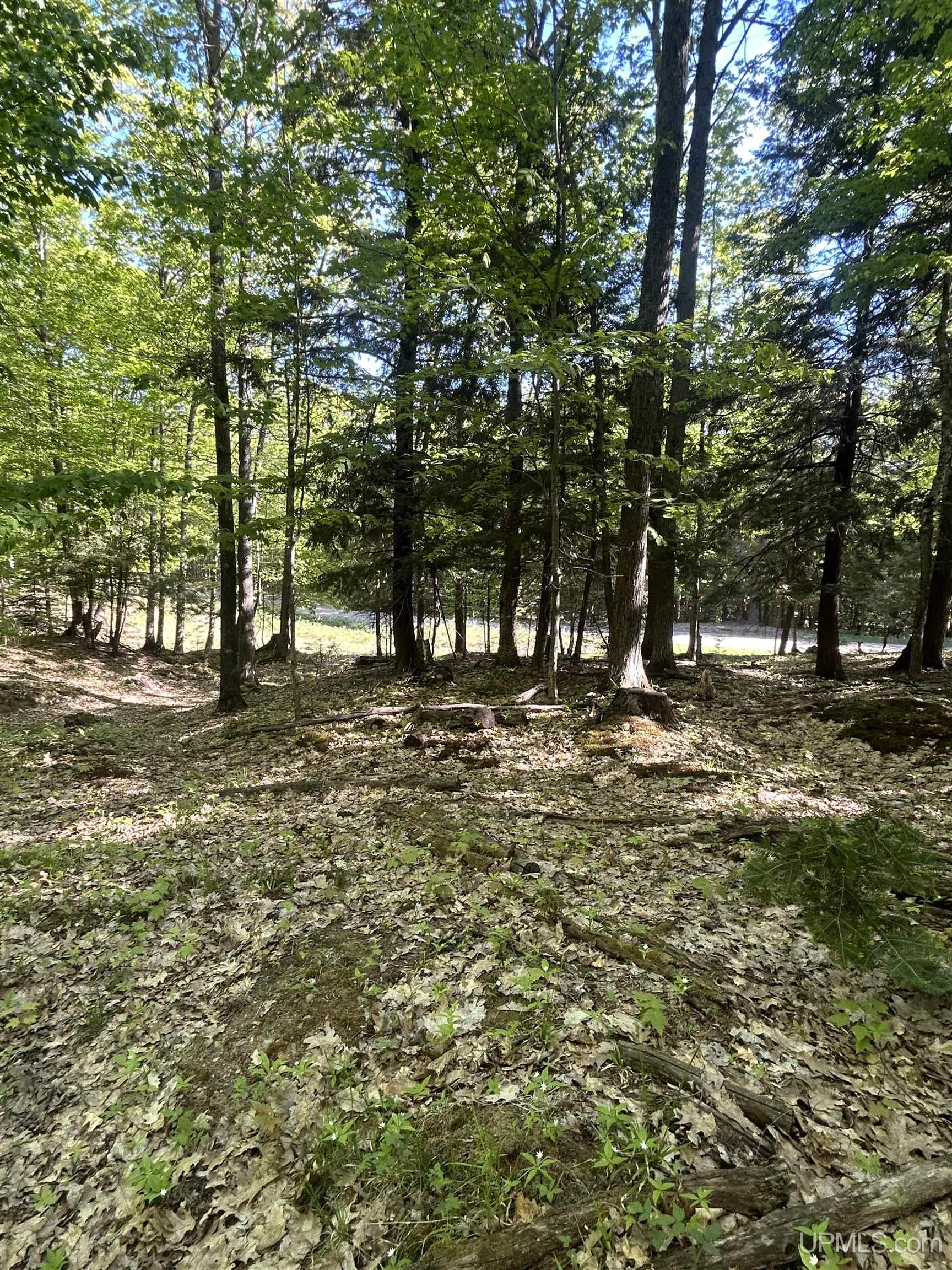Tbd McClure Dm Road Negaunee, MI 49866 - Photo 8 of 16