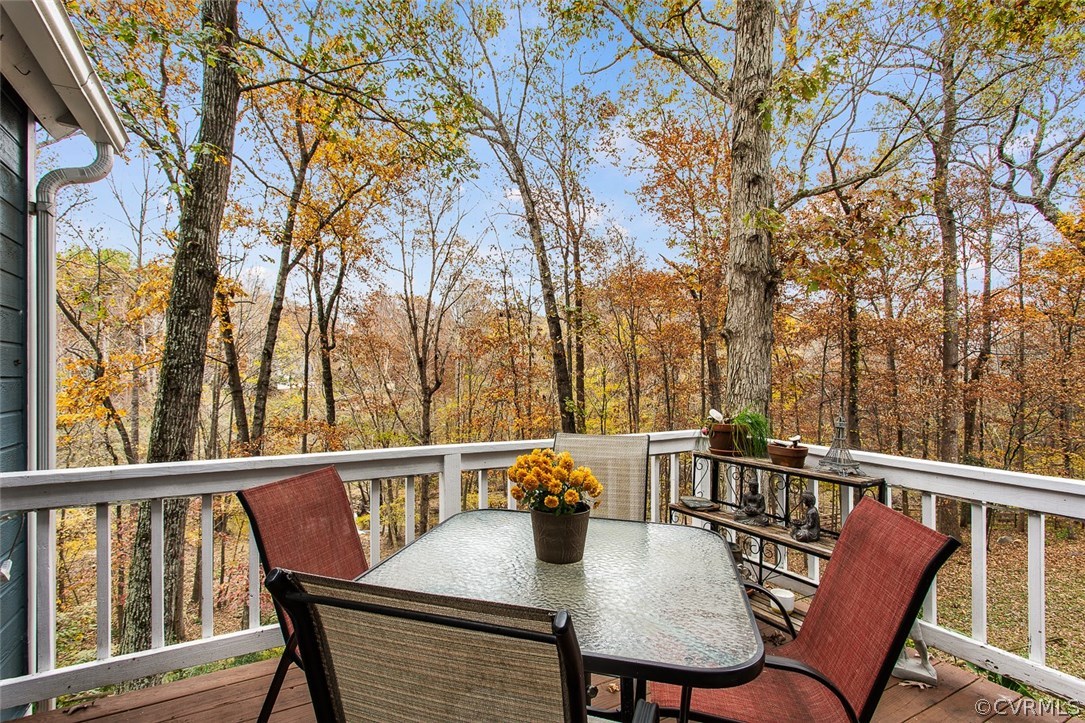 1413 Sycamore Ridge Court Midlothian, VA 23114 - Photo 18 of 36 Can't beat the view from the upper deck!
