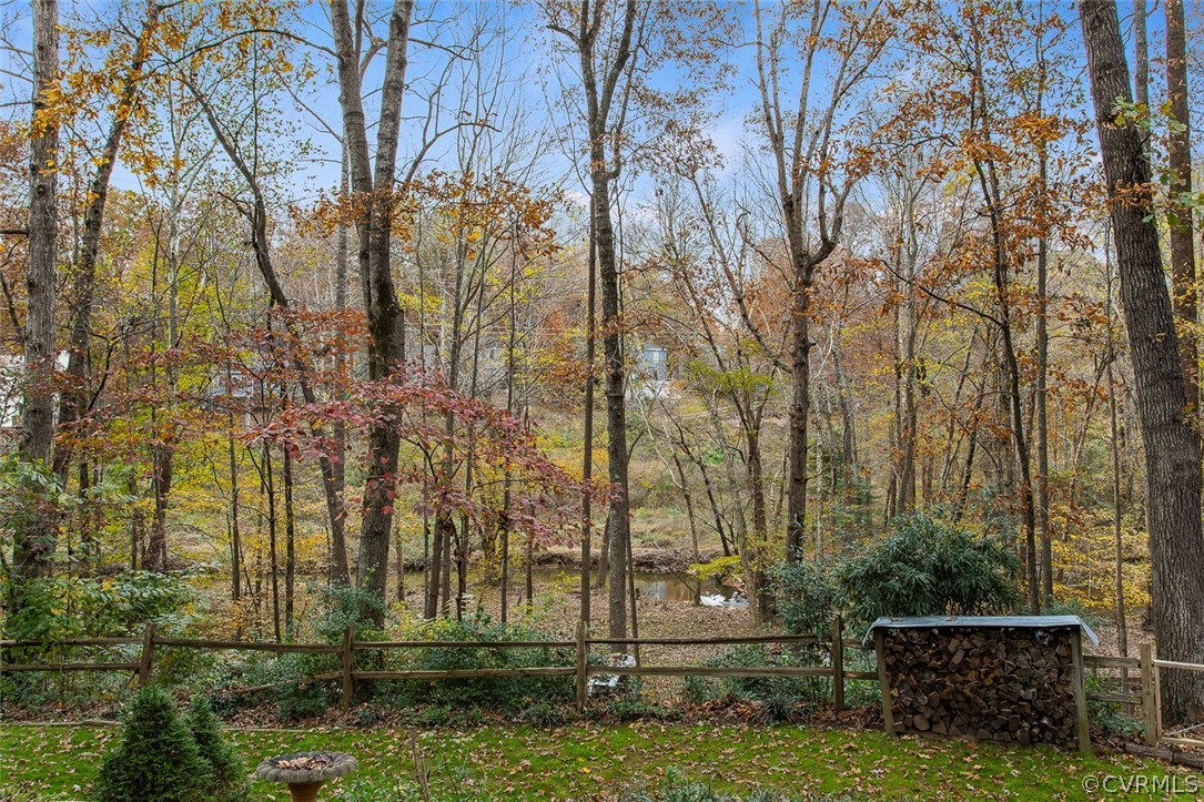 1413 Sycamore Ridge Court Midlothian, VA 23114 - Photo 35 of 36 No, you are not in the country! Enjoy nature at it