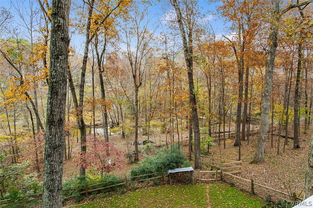 1413 Sycamore Ridge Court Midlothian, VA 23114 - Photo 6 of 36 Treehouse living!
