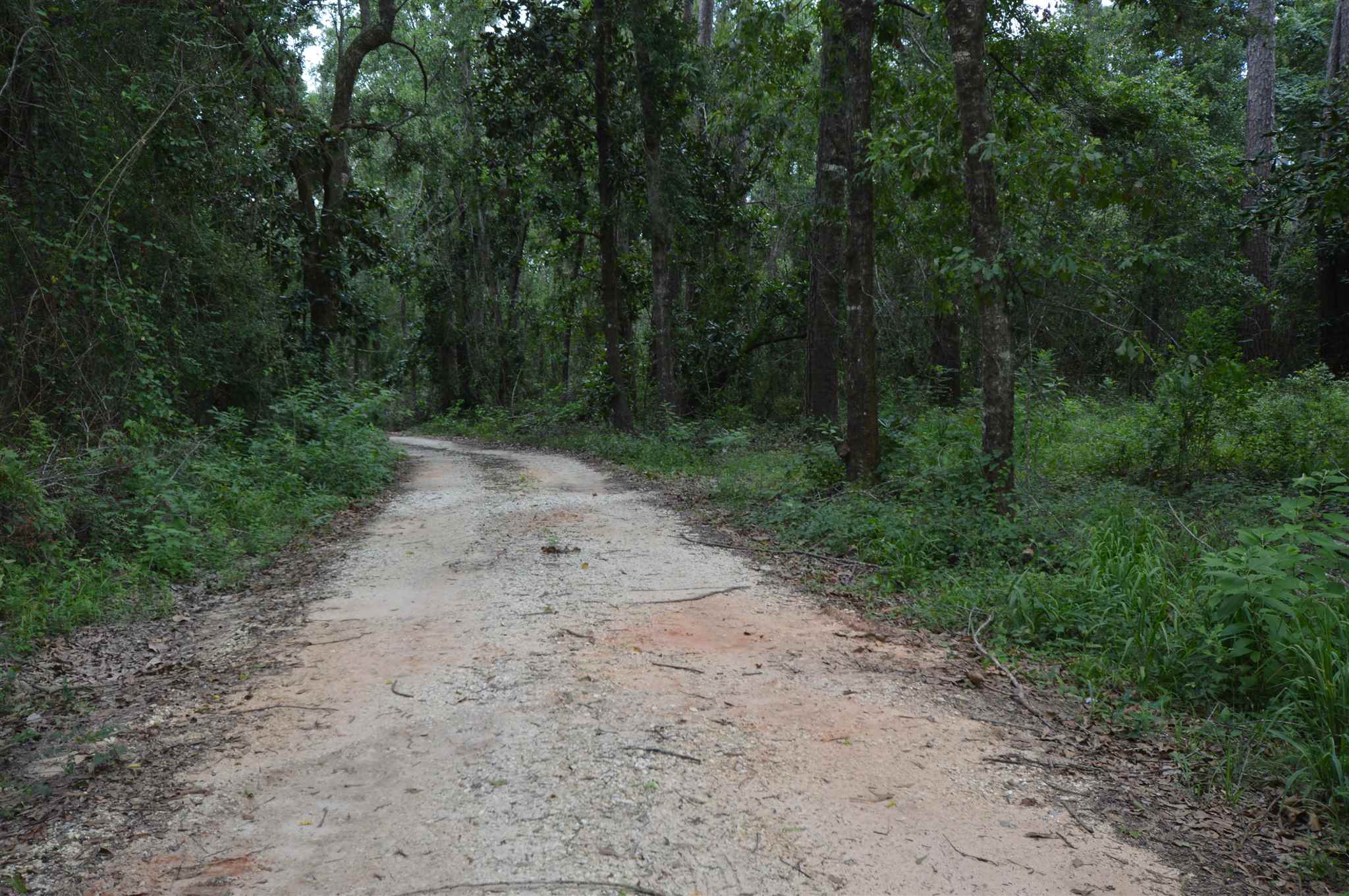 Lot 4 3rd Street Lillian, AL 36549 - Photo 6 of 11 3rd st