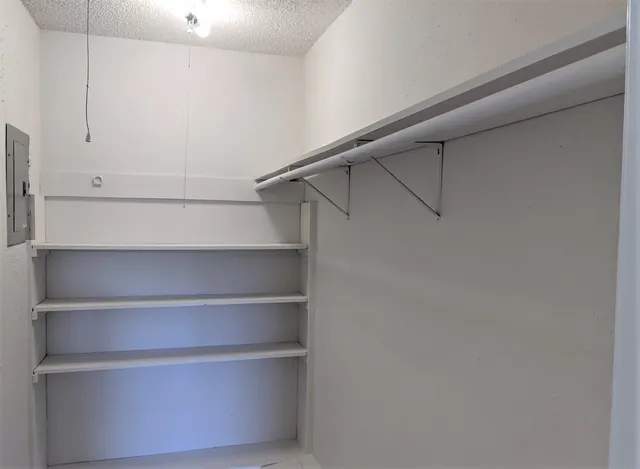 a view of walk in closet with empty racks