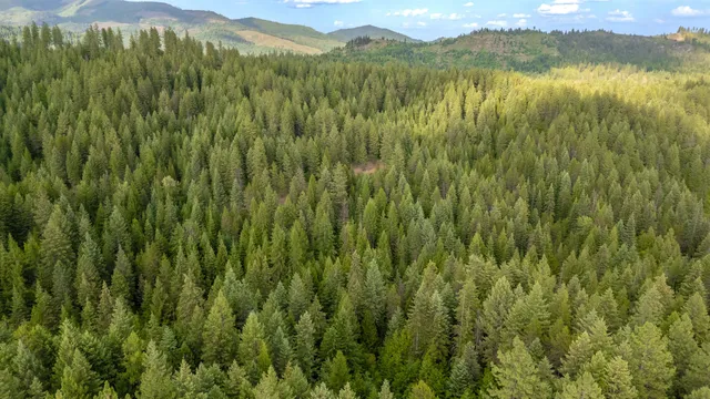 $49,900 | 0 Buck Creek Road, Loon Lake, WA 99148