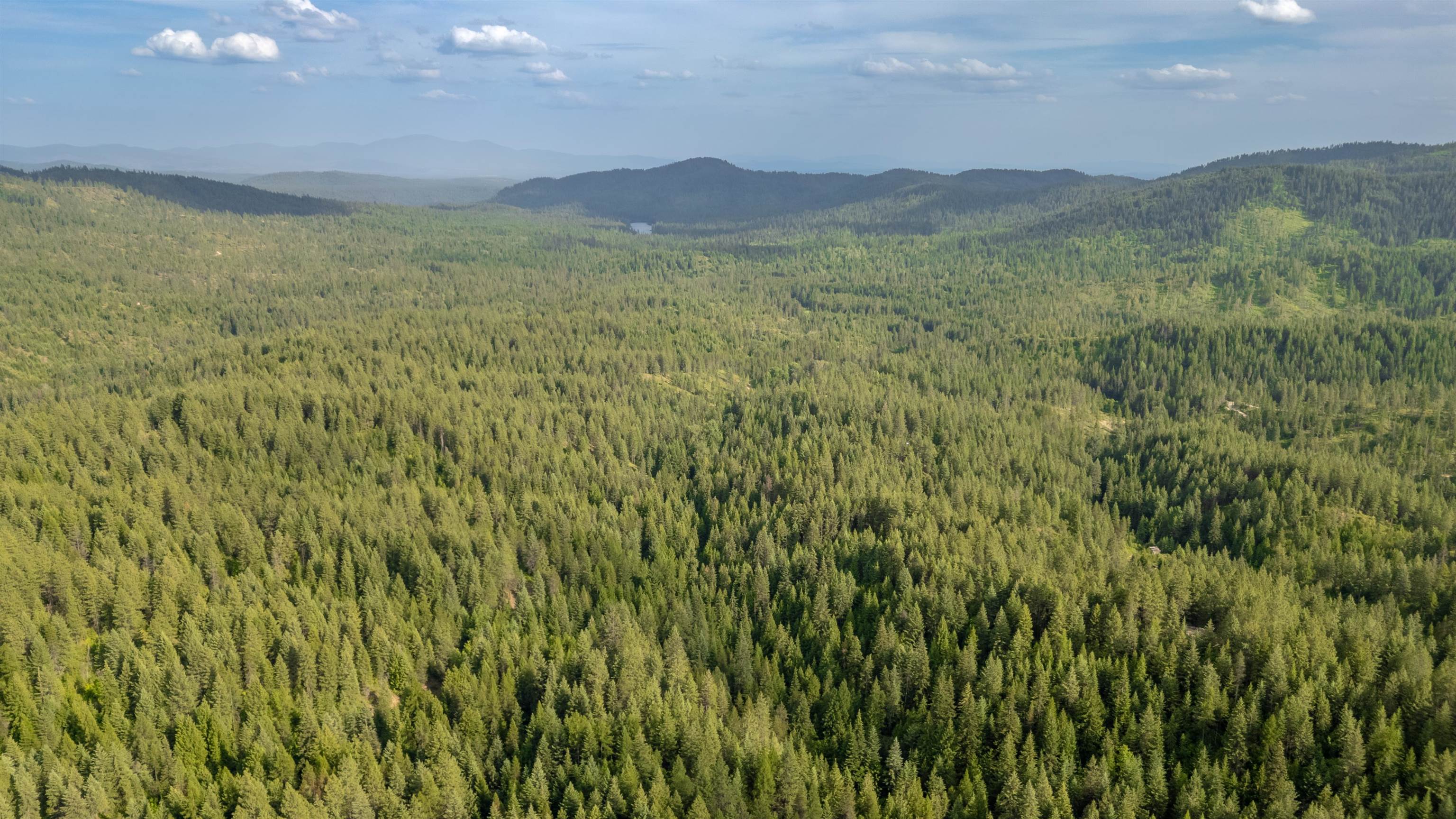 0 Buck Creek Road Loon Lake, WA 99148 - Photo 11 of 26