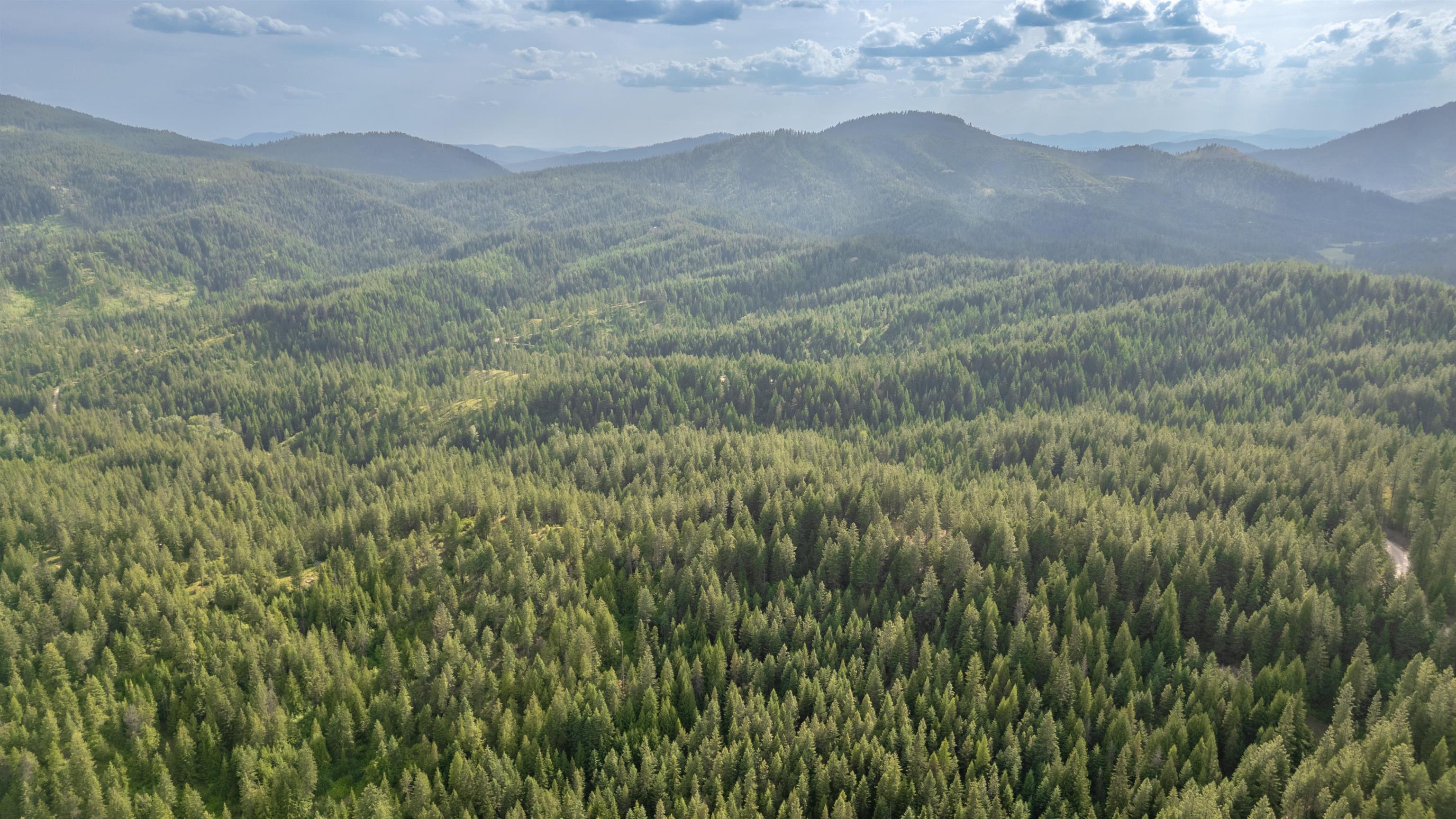 0 Buck Creek Road Loon Lake, WA 99148 - Photo 12 of 26