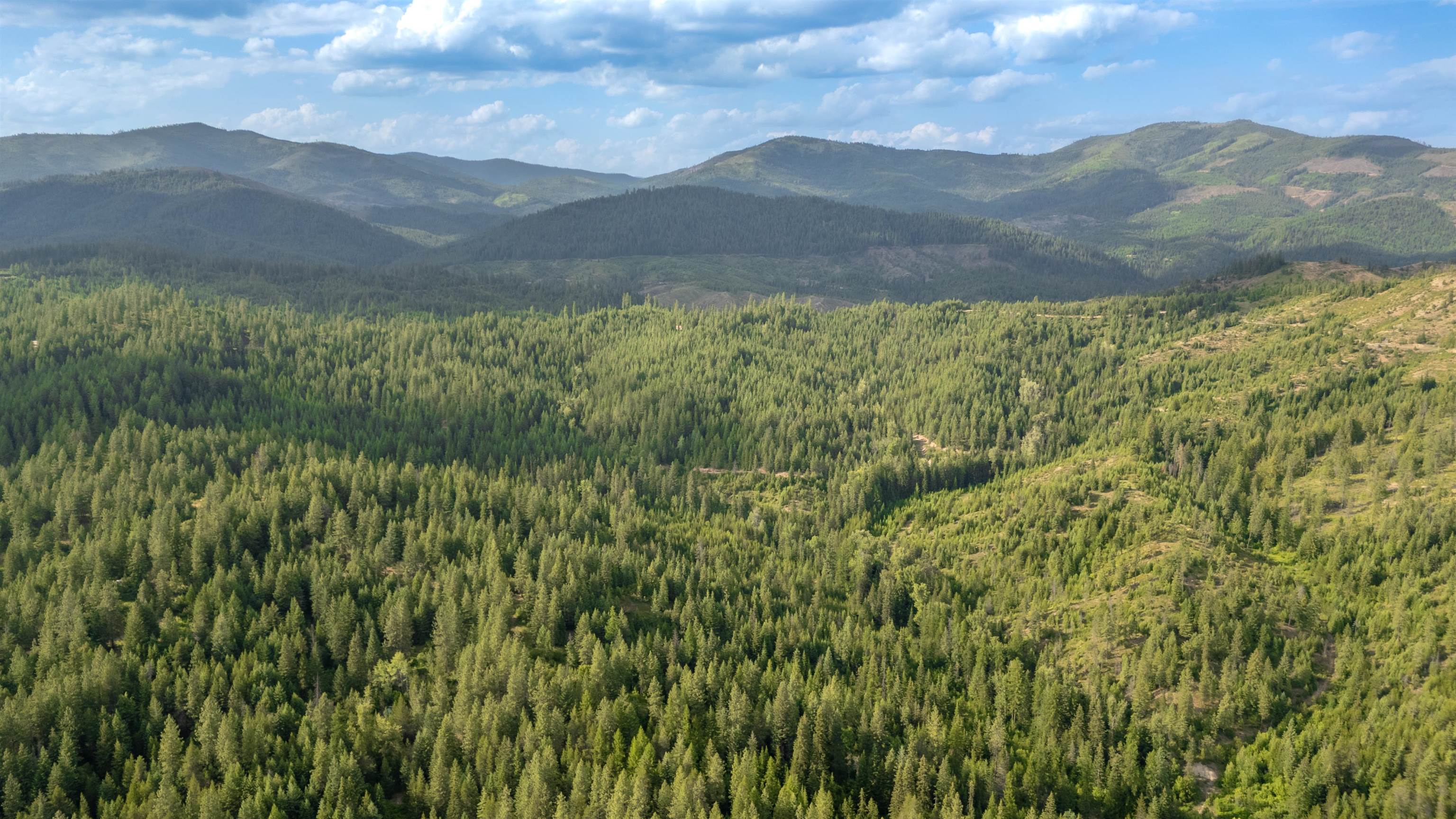 0 Buck Creek Road Loon Lake, WA 99148 - Photo 13 of 26