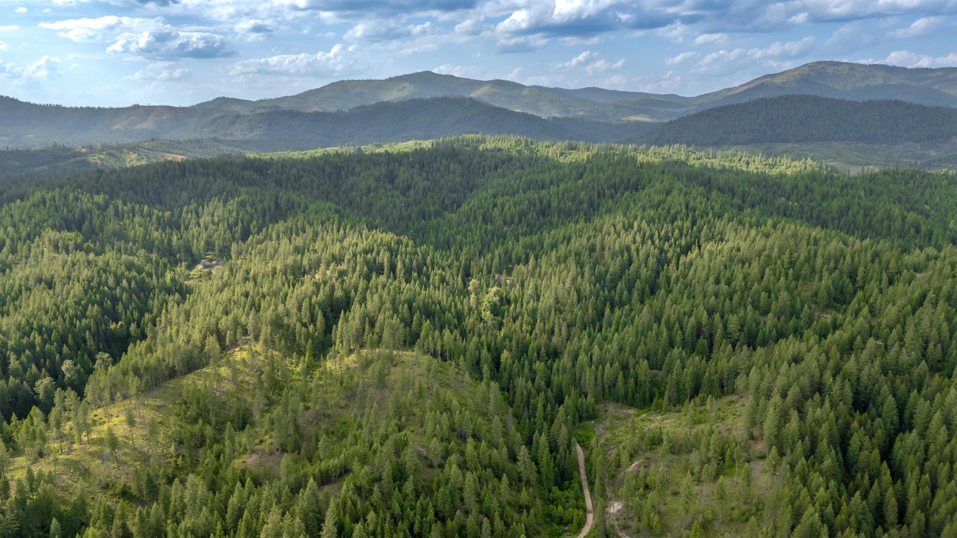 0 Buck Creek Road Loon Lake, WA 99148 - Photo 14 of 26