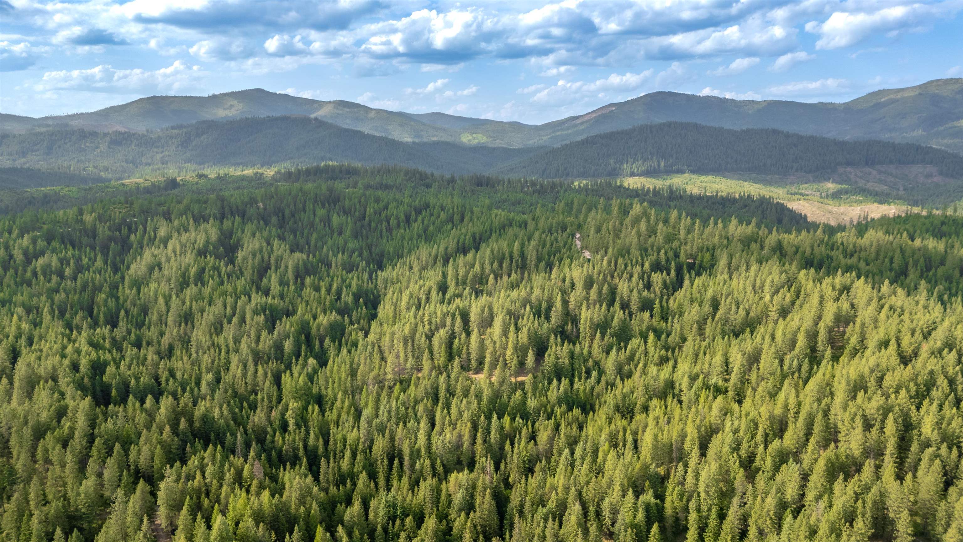0 Buck Creek Road Loon Lake, WA 99148 - Photo 15 of 26
