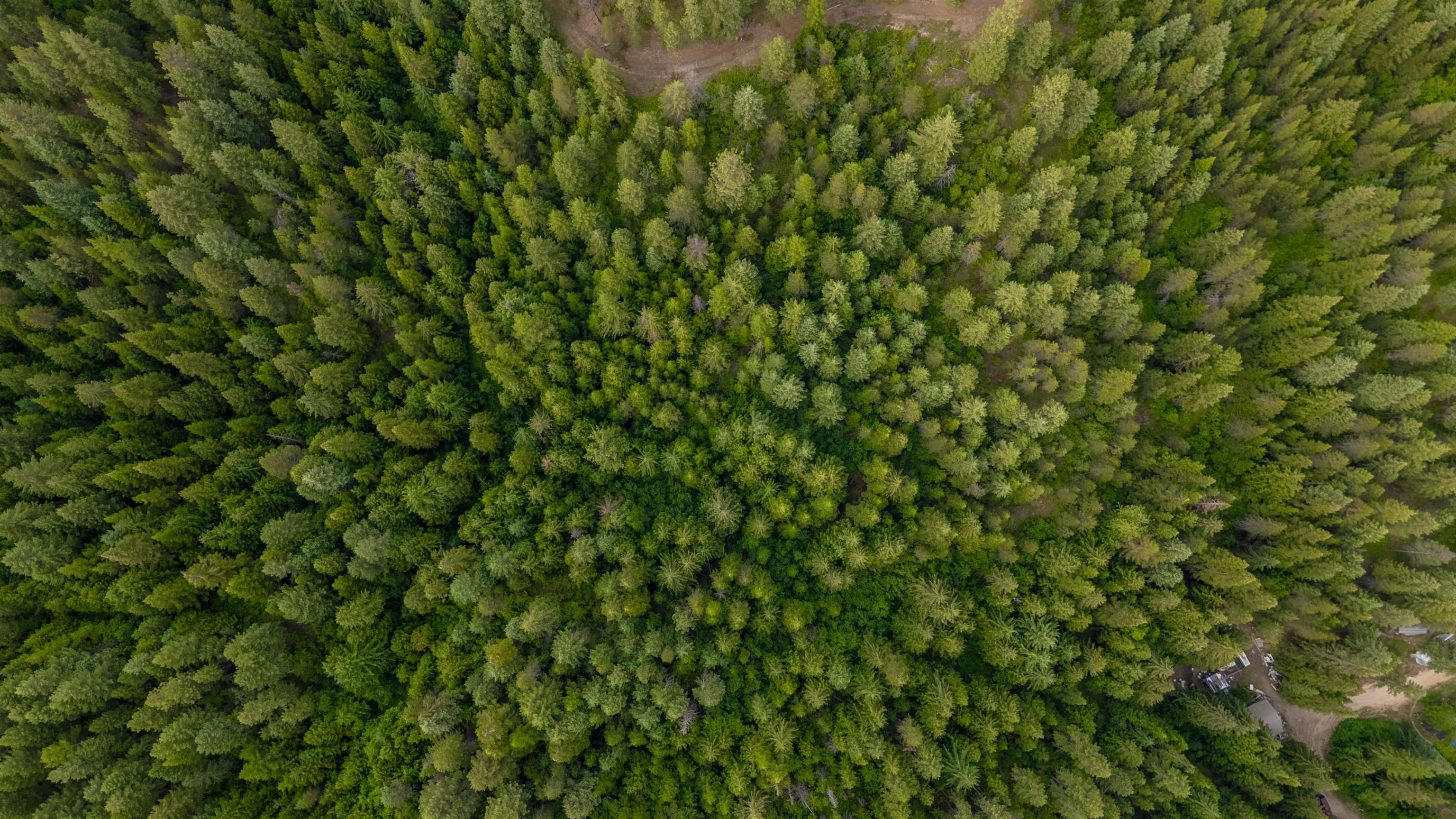 0 Buck Creek Road Loon Lake, WA 99148 - Photo 17 of 26