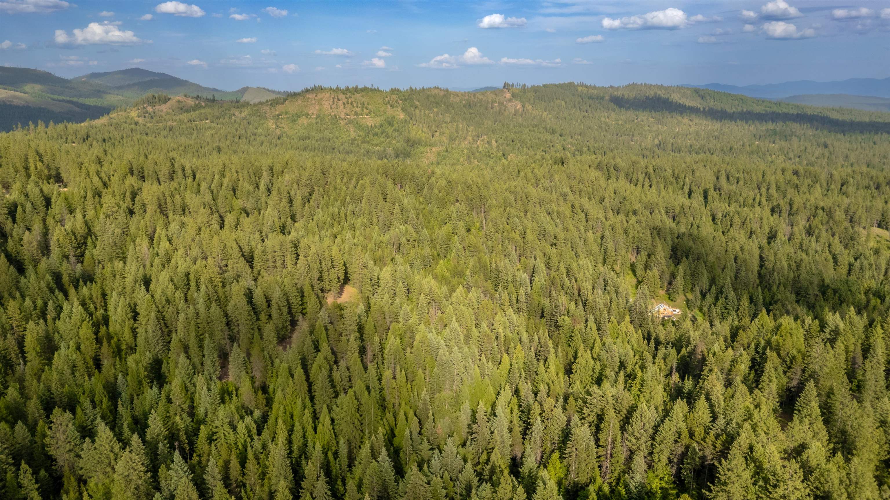 0 Buck Creek Road Loon Lake, WA 99148 - Photo 19 of 26