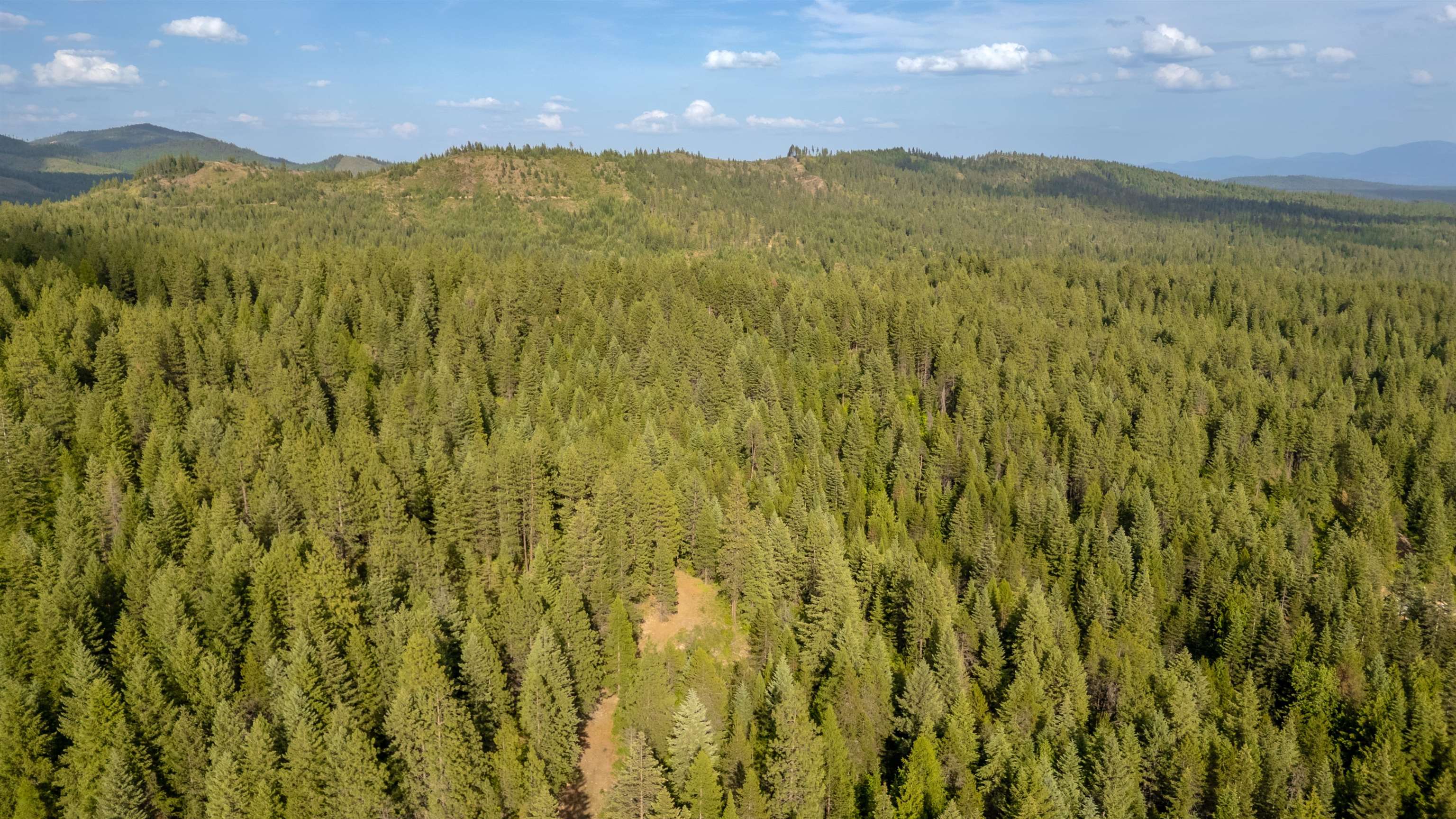 0 Buck Creek Road Loon Lake, WA 99148 - Photo 20 of 26