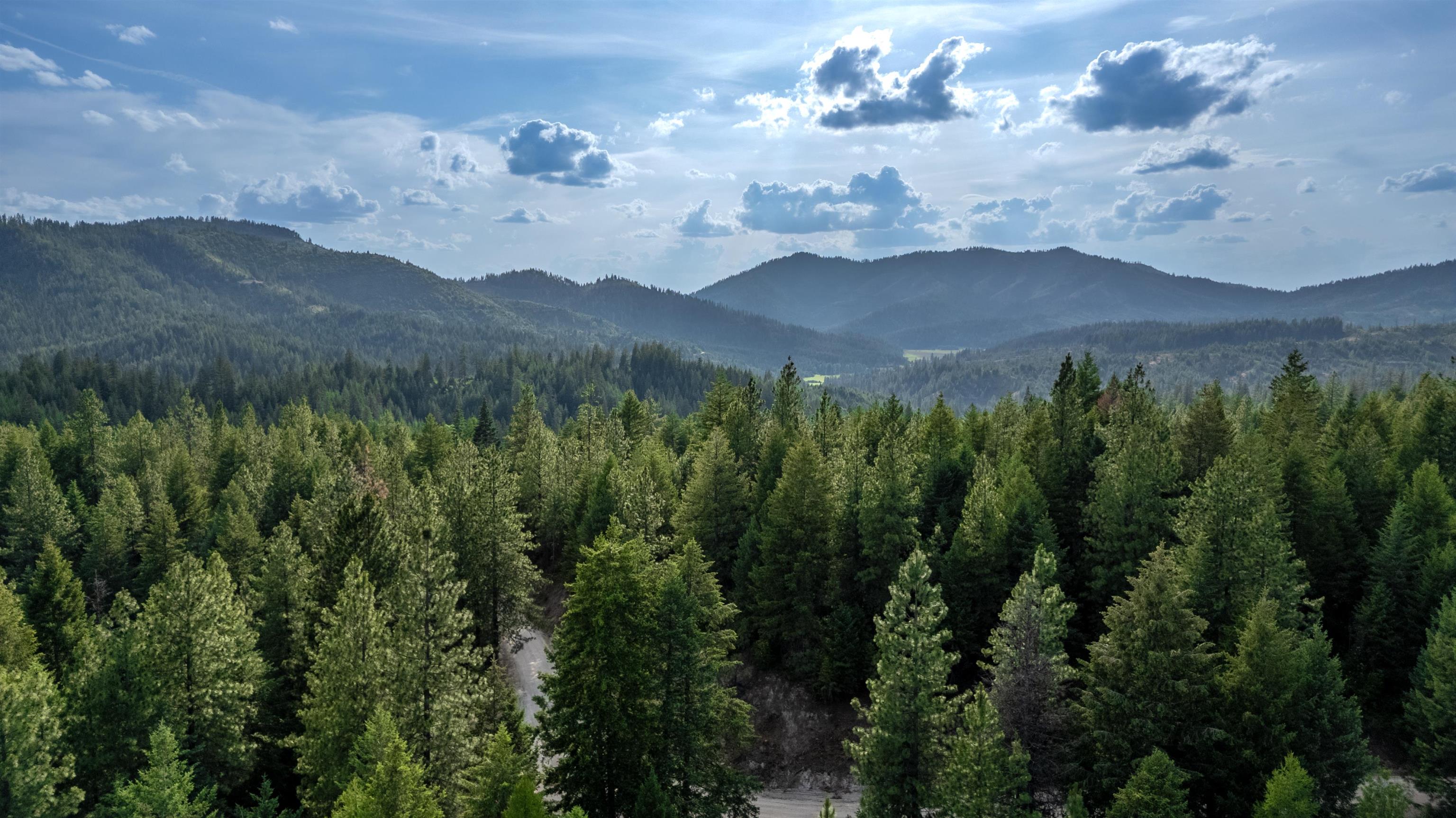 0 Buck Creek Road Loon Lake, WA 99148 - Photo 2 of 26