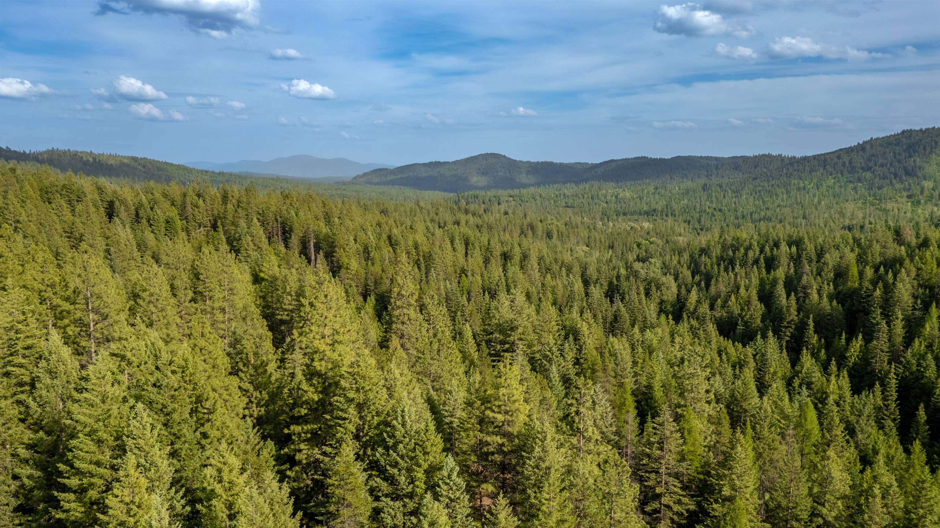 0 Buck Creek Road Loon Lake, WA 99148 - Photo 21 of 26