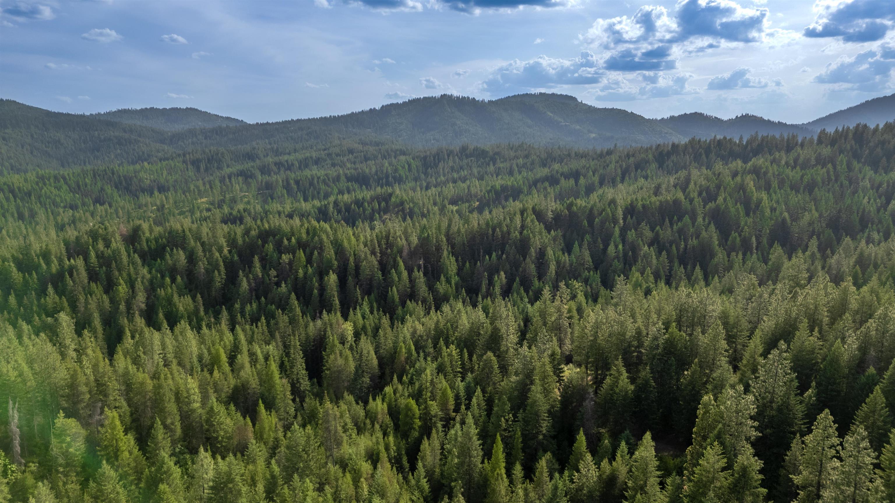 0 Buck Creek Road Loon Lake, WA 99148 - Photo 23 of 26