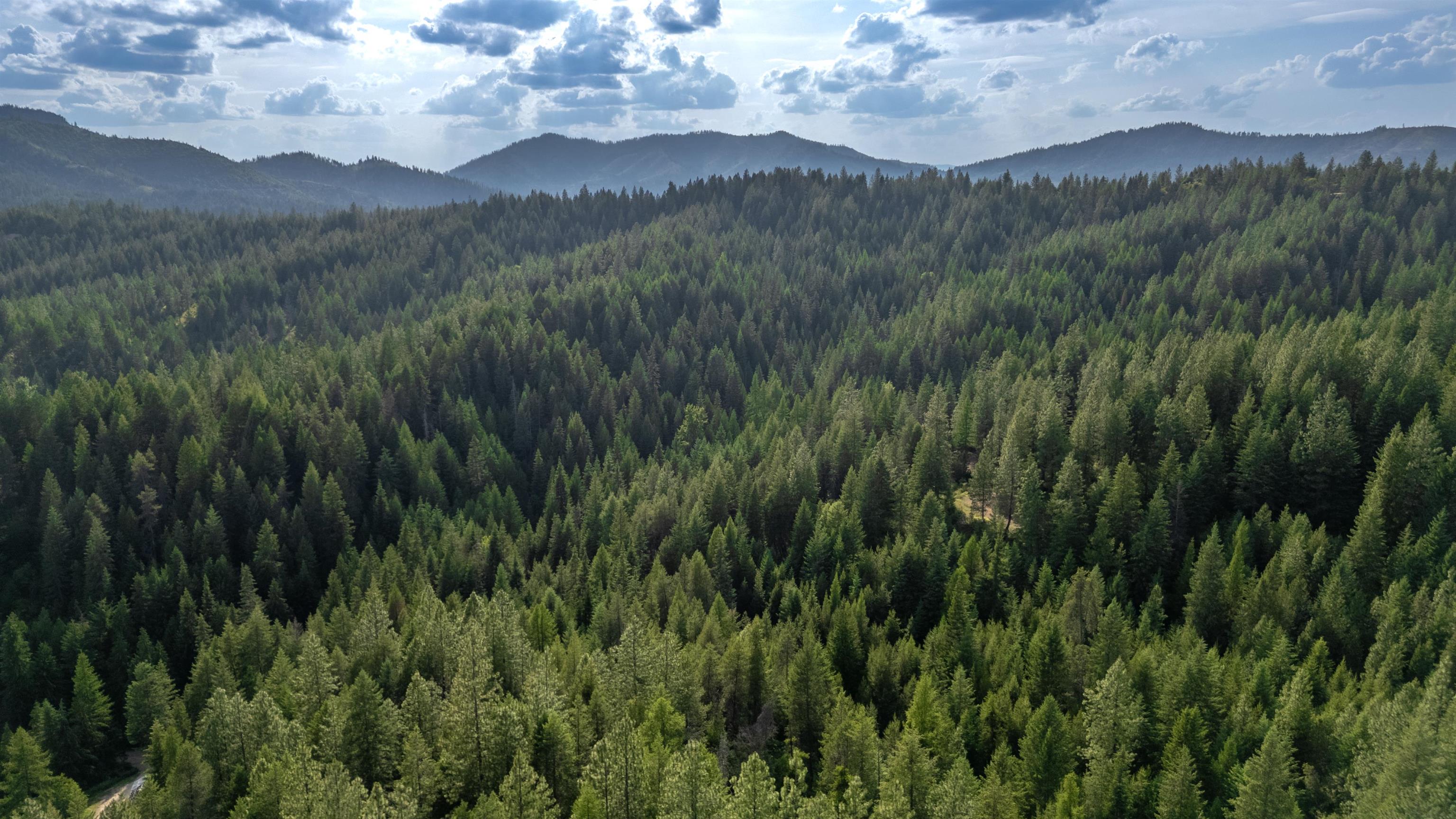 0 Buck Creek Road Loon Lake, WA 99148 - Photo 24 of 26