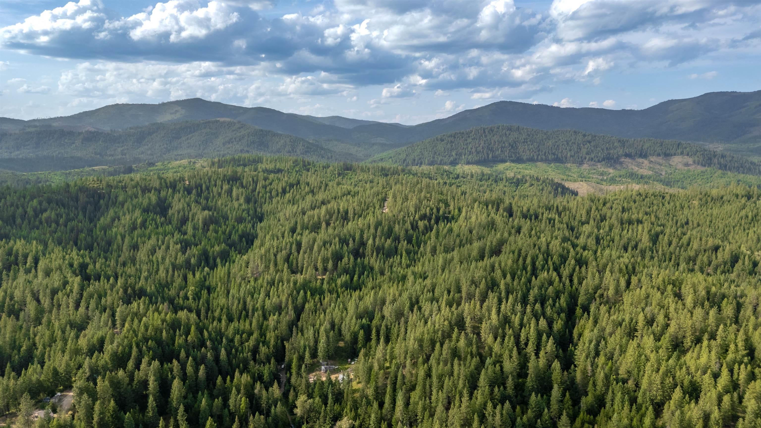 0 Buck Creek Road Loon Lake, WA 99148 - Photo 25 of 26