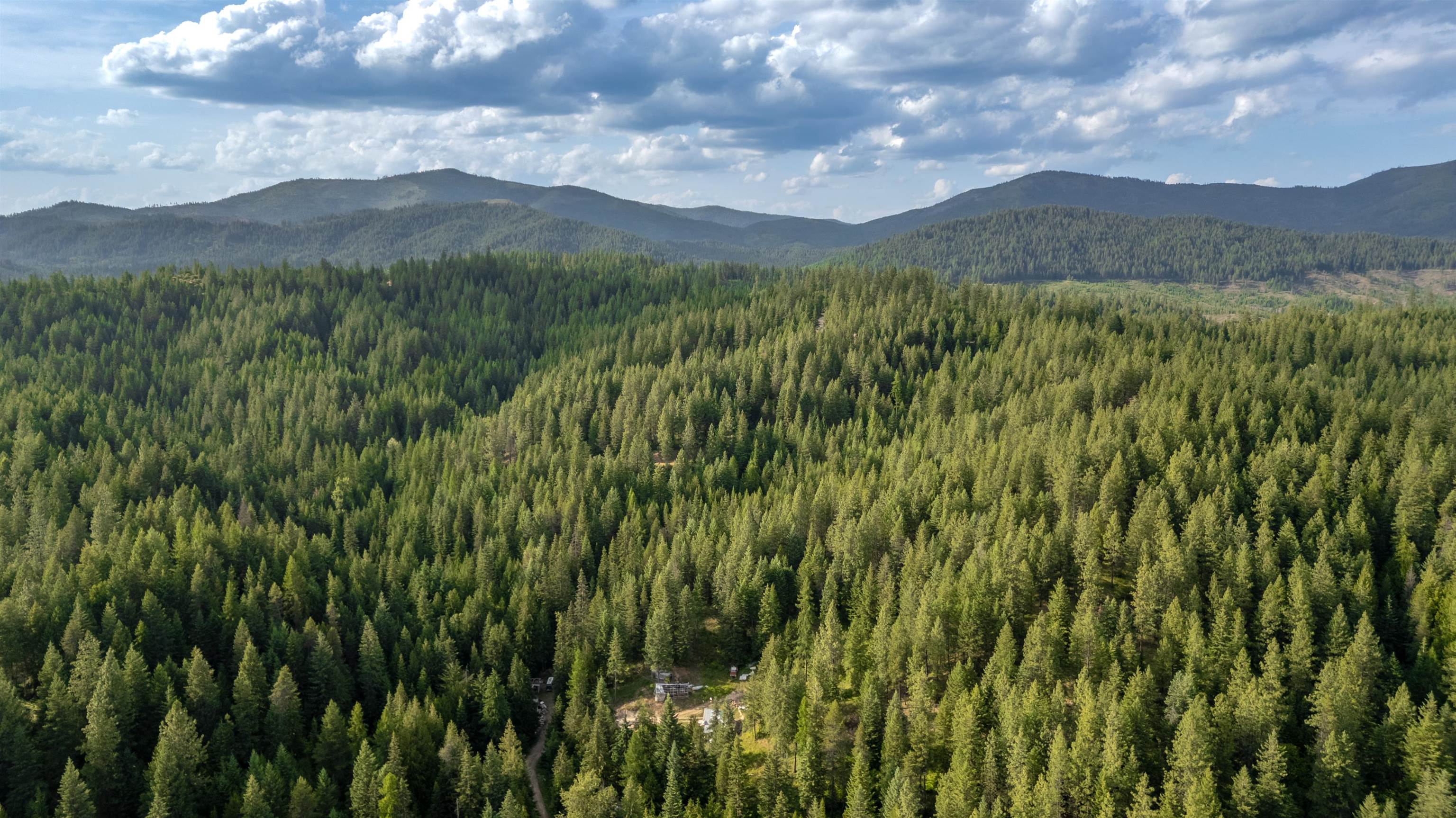 0 Buck Creek Road Loon Lake, WA 99148 - Photo 26 of 26