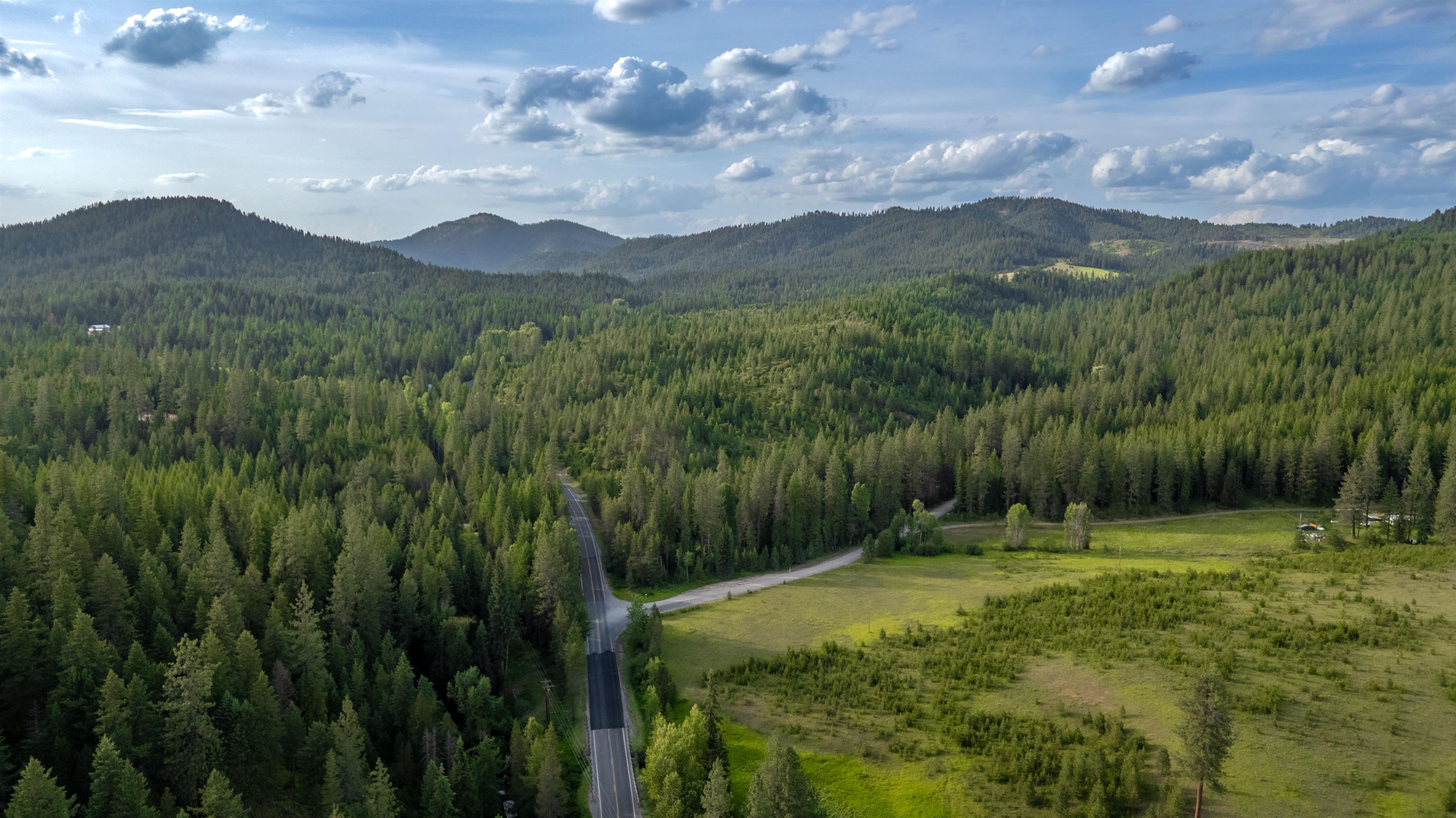 0 Buck Creek Road Loon Lake, WA 99148 - Photo 4 of 26