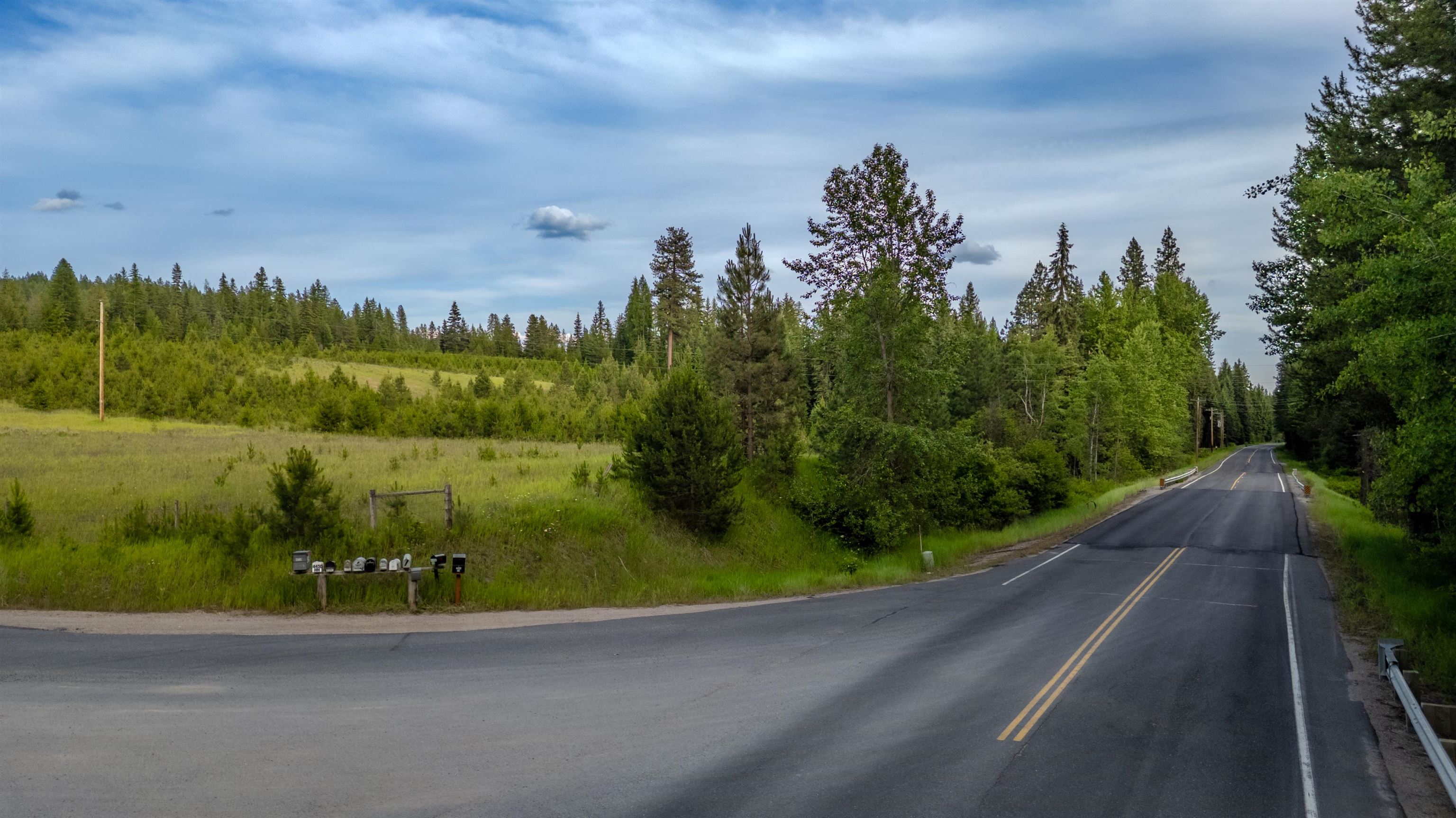 0 Buck Creek Road Loon Lake, WA 99148 - Photo 8 of 26