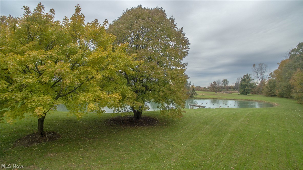 8901 Shank Road Litchfield, OH 44253 - Photo 5 of 32 Gallery Image 5