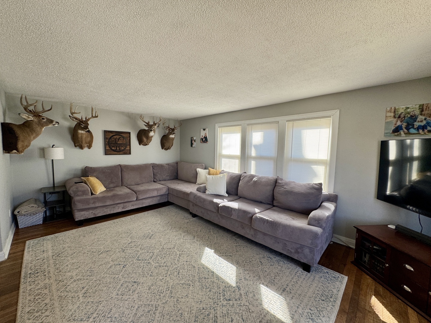 216 South Main Street Sheffield, IL 61361 - Photo 4 of 28 Gallery Image 4