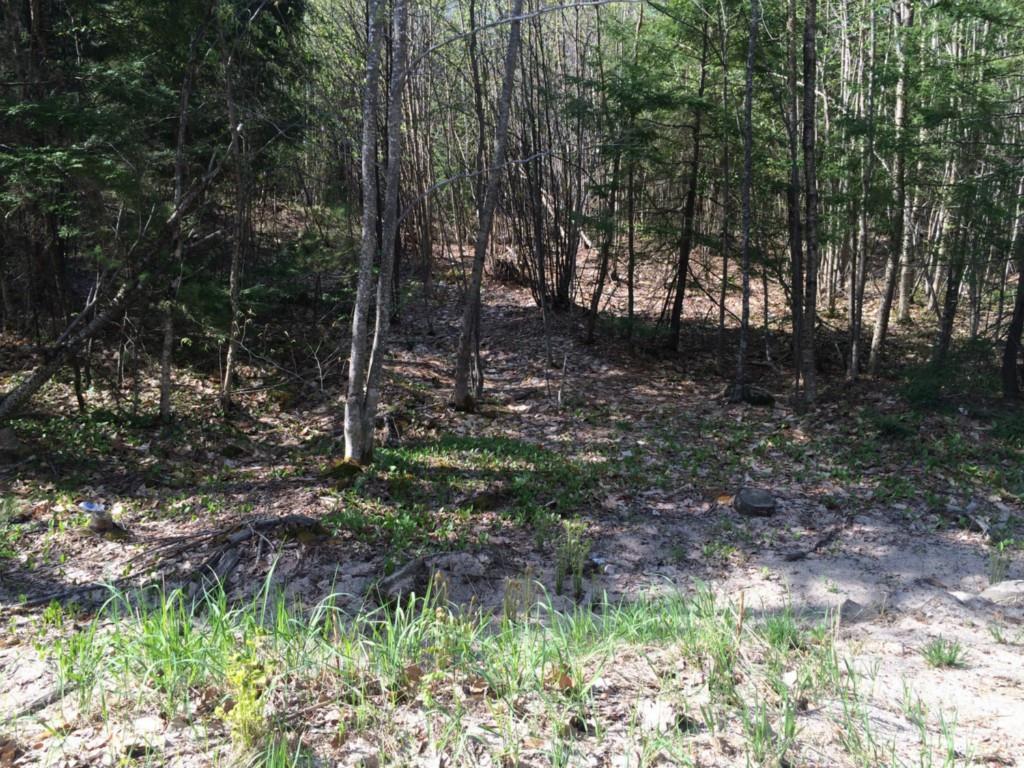 20.3 County Road Acton, ME 04001 - Photo 10 of 12 Photo